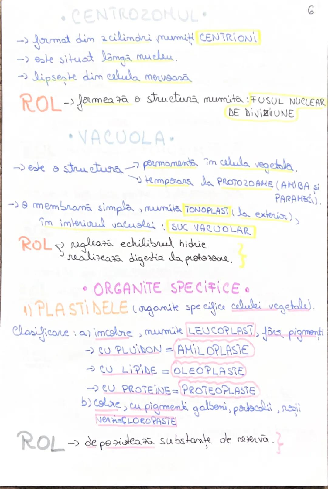 celula
Unitatea morfo-functionala a lumii vii.
~CLASIFICAREA CELULELOR~
- dupa forma:
* stelate (NEURONUL)
* fusiforma (CELULA MUSCULARA NET