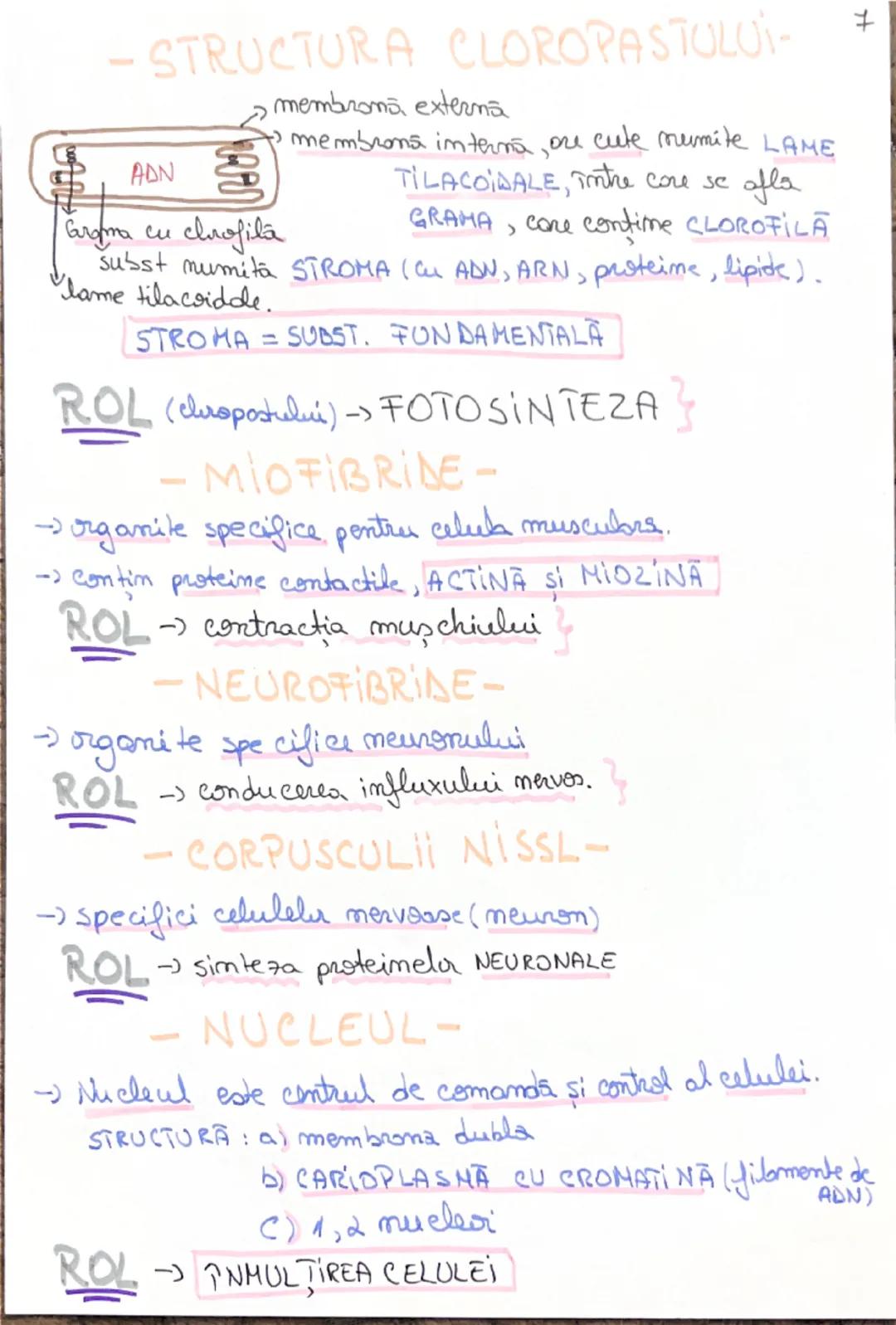 celula
Unitatea morfo-functionala a lumii vii.
~CLASIFICAREA CELULELOR~
- dupa forma:
* stelate (NEURONUL)
* fusiforma (CELULA MUSCULARA NET