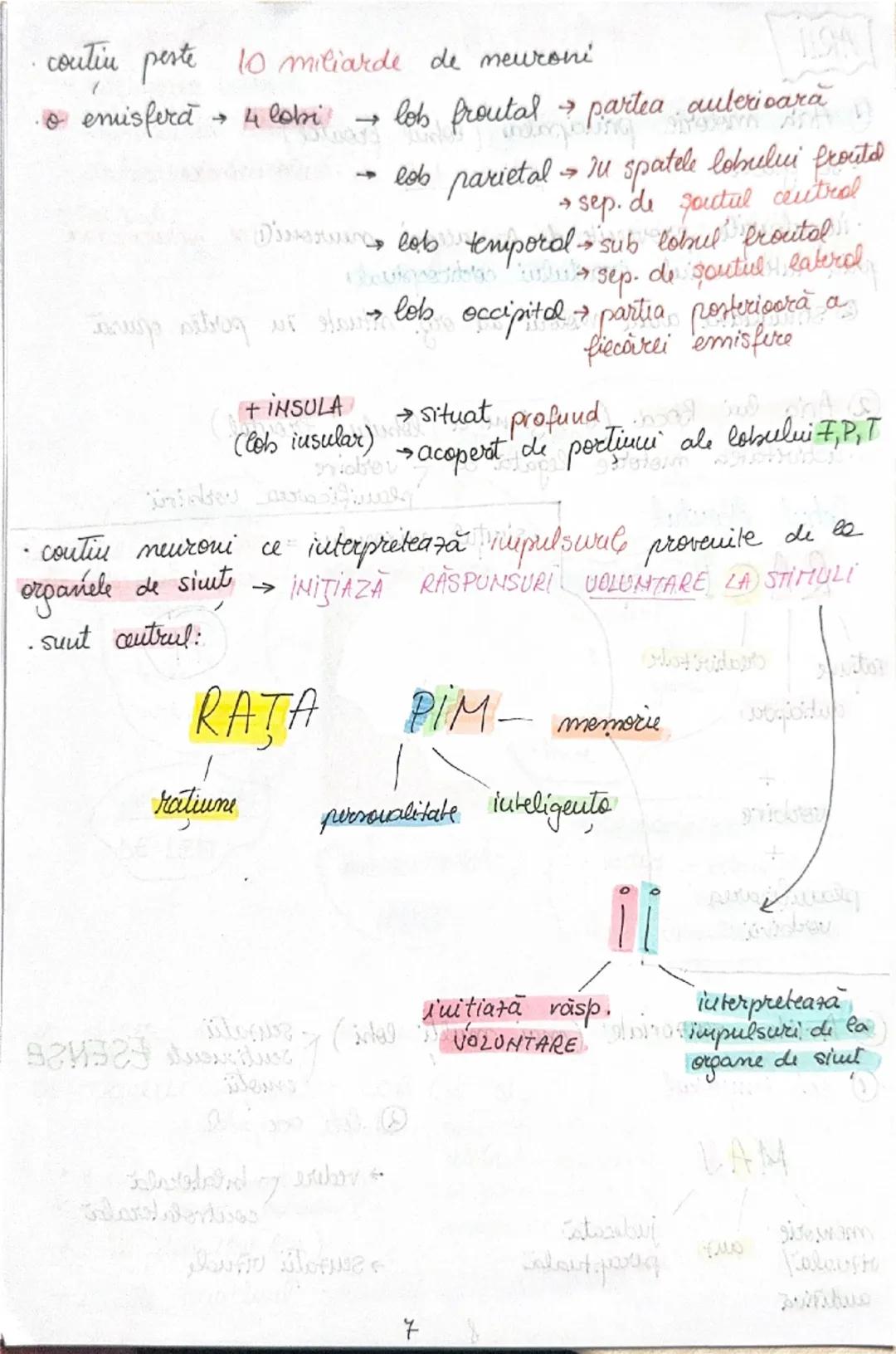 --- OCR Start ---
FUNCŢII:
ENCEFALU
COCOCO MES PI-initiatorul unor
cutru
cuitru
procesore
cutrul memoriei seuzatiilor
coordonare organizare