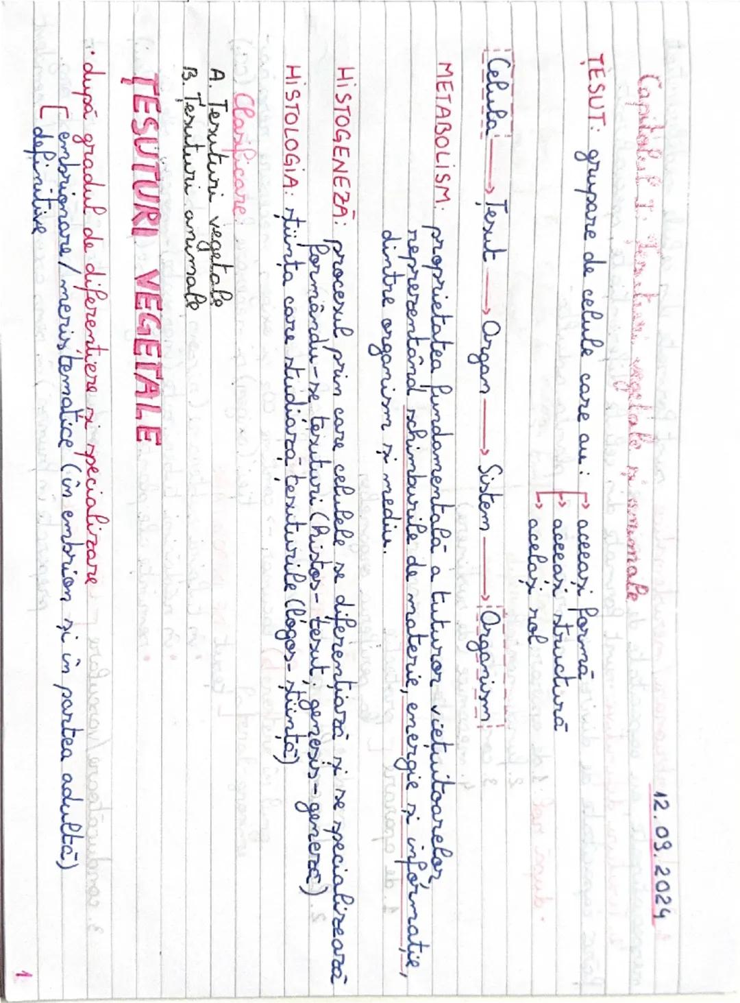 PARTEA 1 Capitol Tesuturi vegetale si animale