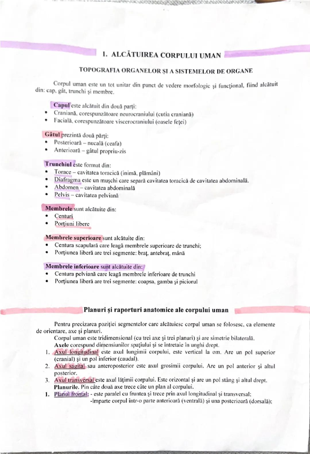 # 1. ALCĂTUIREA CORPULUI UMAN
TOPOGRAFIA ORGANELOR ȘI A SISTEMELOR DE ORGANE
Corpul uman este un tot unitar din punct de vedere morfologic