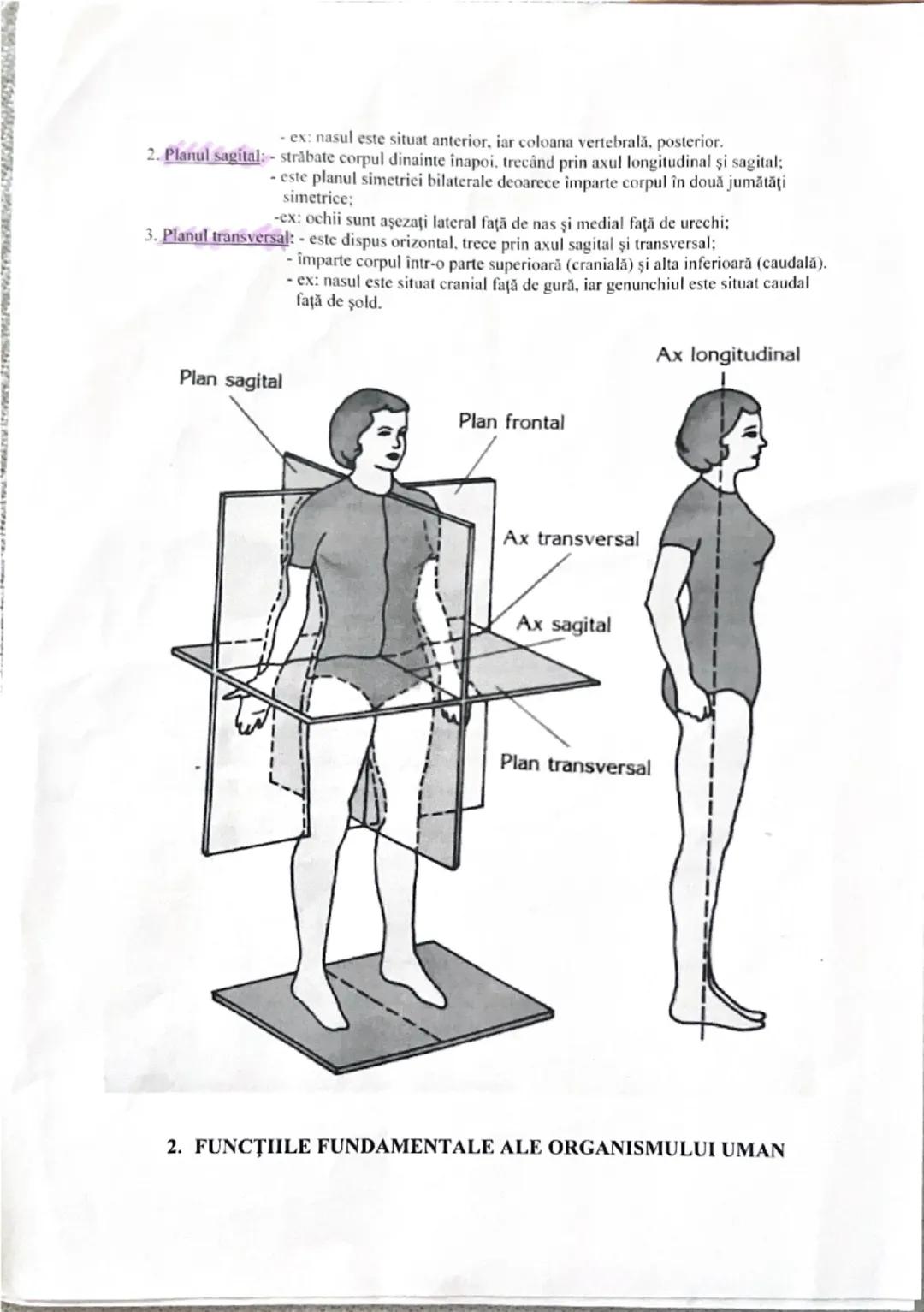 # 1. ALCĂTUIREA CORPULUI UMAN
TOPOGRAFIA ORGANELOR ȘI A SISTEMELOR DE ORGANE
Corpul uman este un tot unitar din punct de vedere morfologic