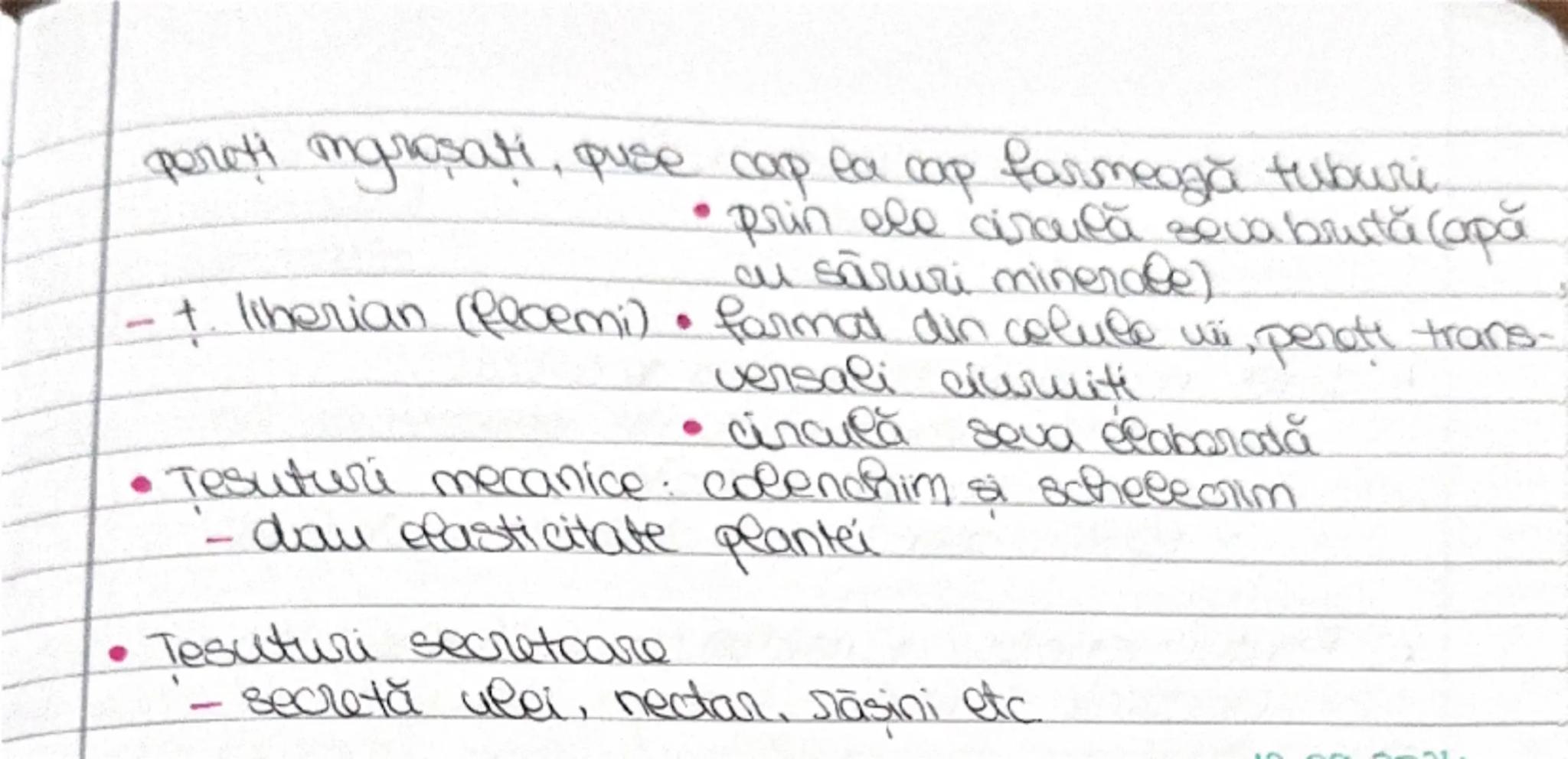 --- OCR Start ---
Tesuturi vegetale
12.08.2024
(si animale pag. 6-7
Def. Tesutul = grupare permanentă de celule care au
aceedsi origine, str