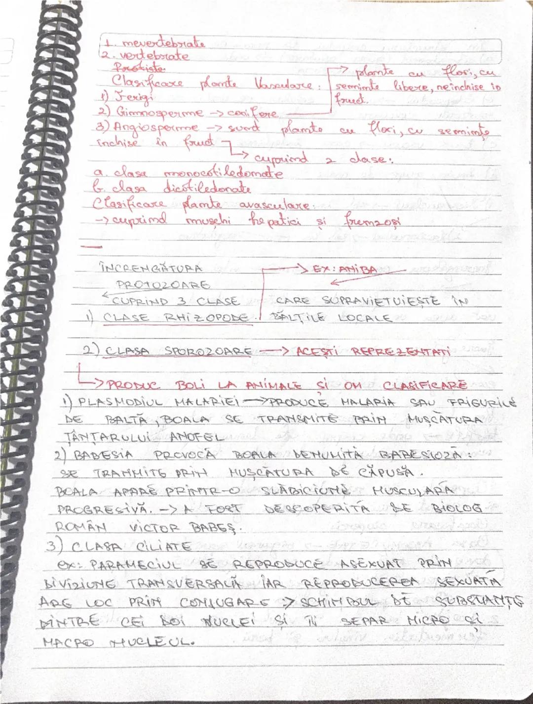 27.09.2024
CELULA
• CELULA => este unitatea de structura şi funcţie
pentru toate organismele vii.
• CELULELE CARE AU
FORMA
STRUCTURA IDENTIC
