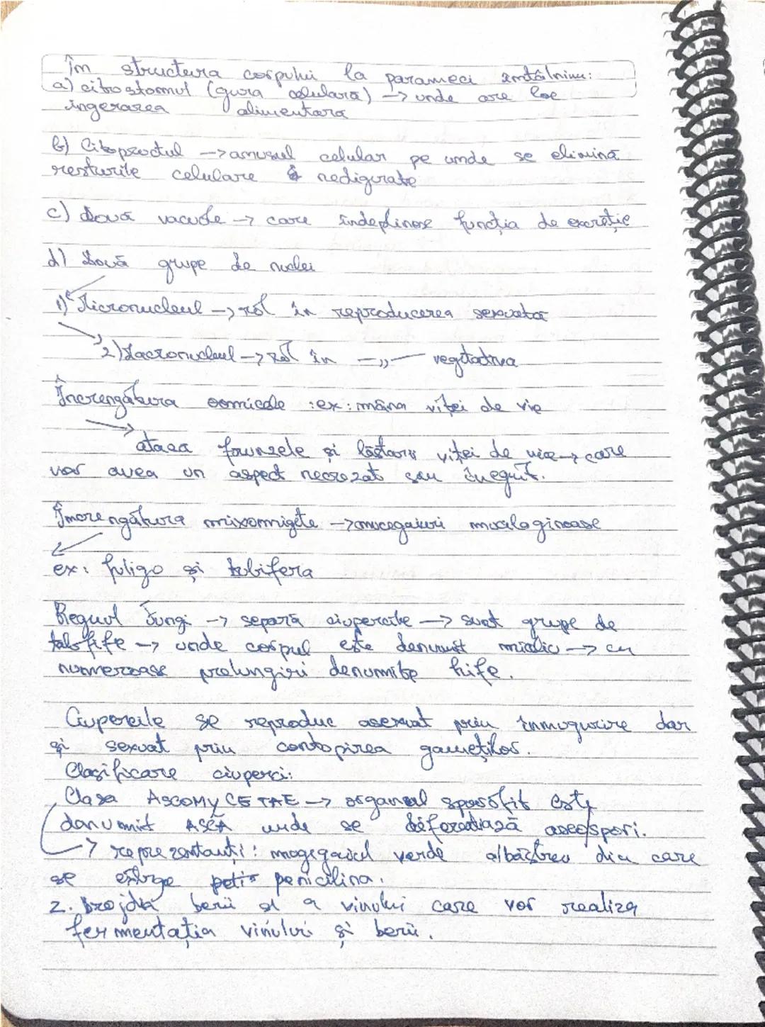 27.09.2024
CELULA
• CELULA => este unitatea de structura şi funcţie
pentru toate organismele vii.
• CELULELE CARE AU
FORMA
STRUCTURA IDENTIC