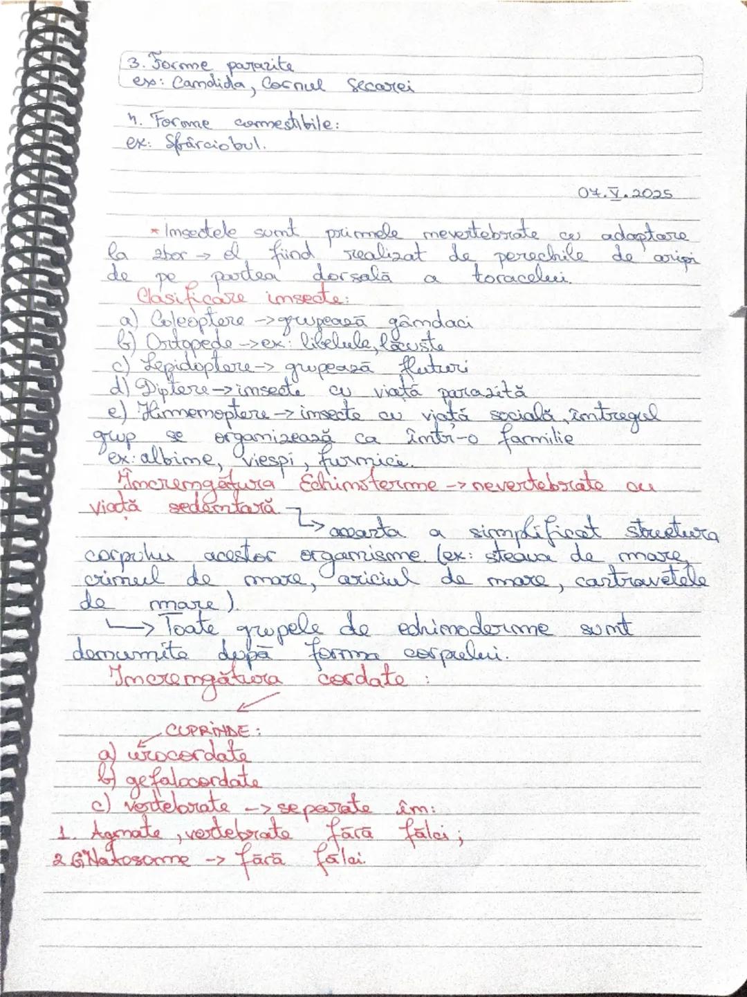 27.09.2024
CELULA
• CELULA => este unitatea de structura şi funcţie
pentru toate organismele vii.
• CELULELE CARE AU
FORMA
STRUCTURA IDENTIC