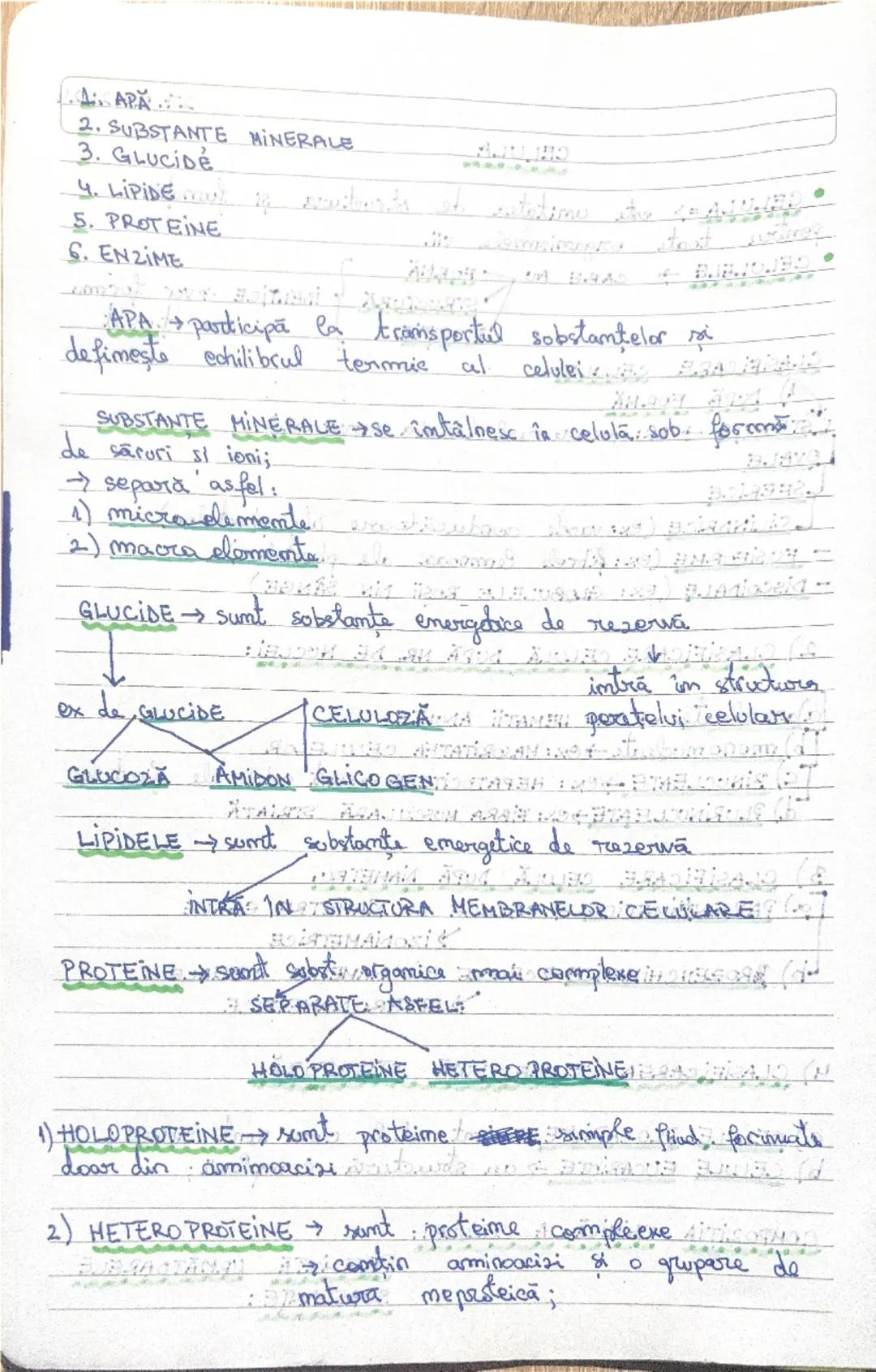 27.09.2024
CELULA
• CELULA => este unitatea de structura şi funcţie
pentru toate organismele vii.
• CELULELE CARE AU
FORMA
STRUCTURA IDENTIC