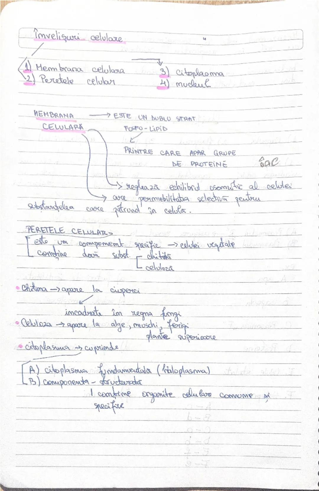 27.09.2024
CELULA
• CELULA => este unitatea de structura şi funcţie
pentru toate organismele vii.
• CELULELE CARE AU
FORMA
STRUCTURA IDENTIC