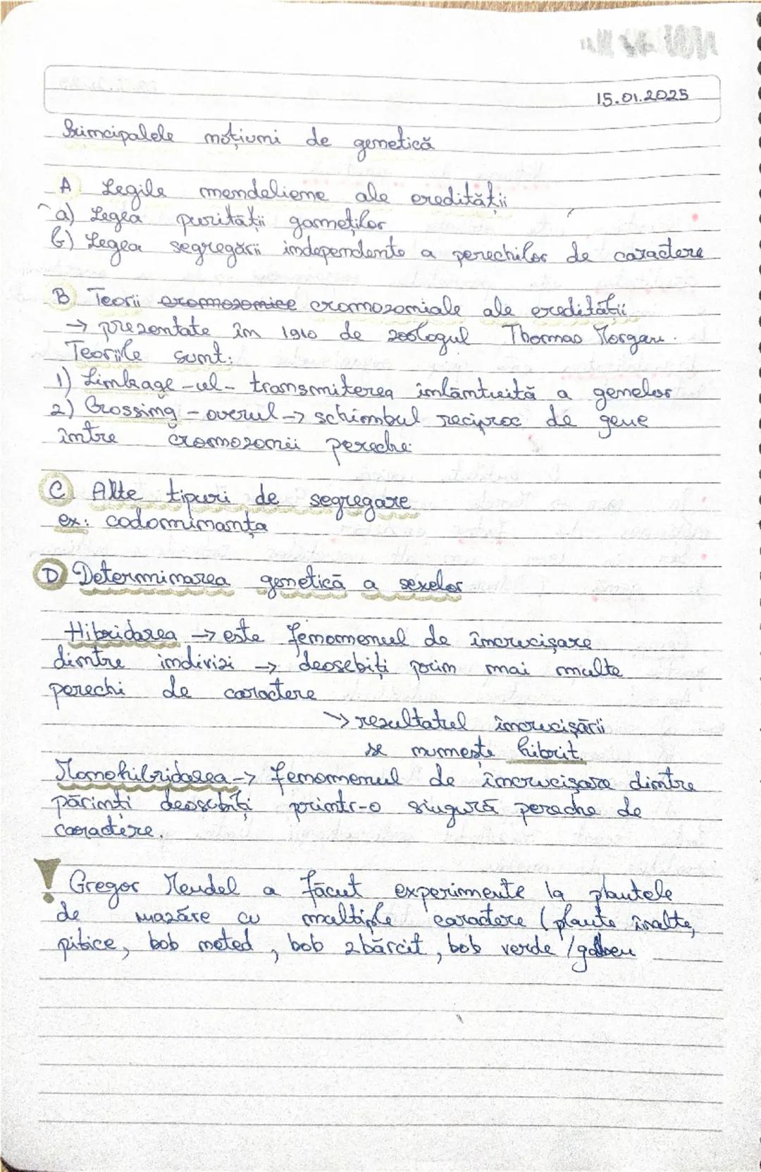27.09.2024
CELULA
• CELULA => este unitatea de structura şi funcţie
pentru toate organismele vii.
• CELULELE CARE AU
FORMA
STRUCTURA IDENTIC