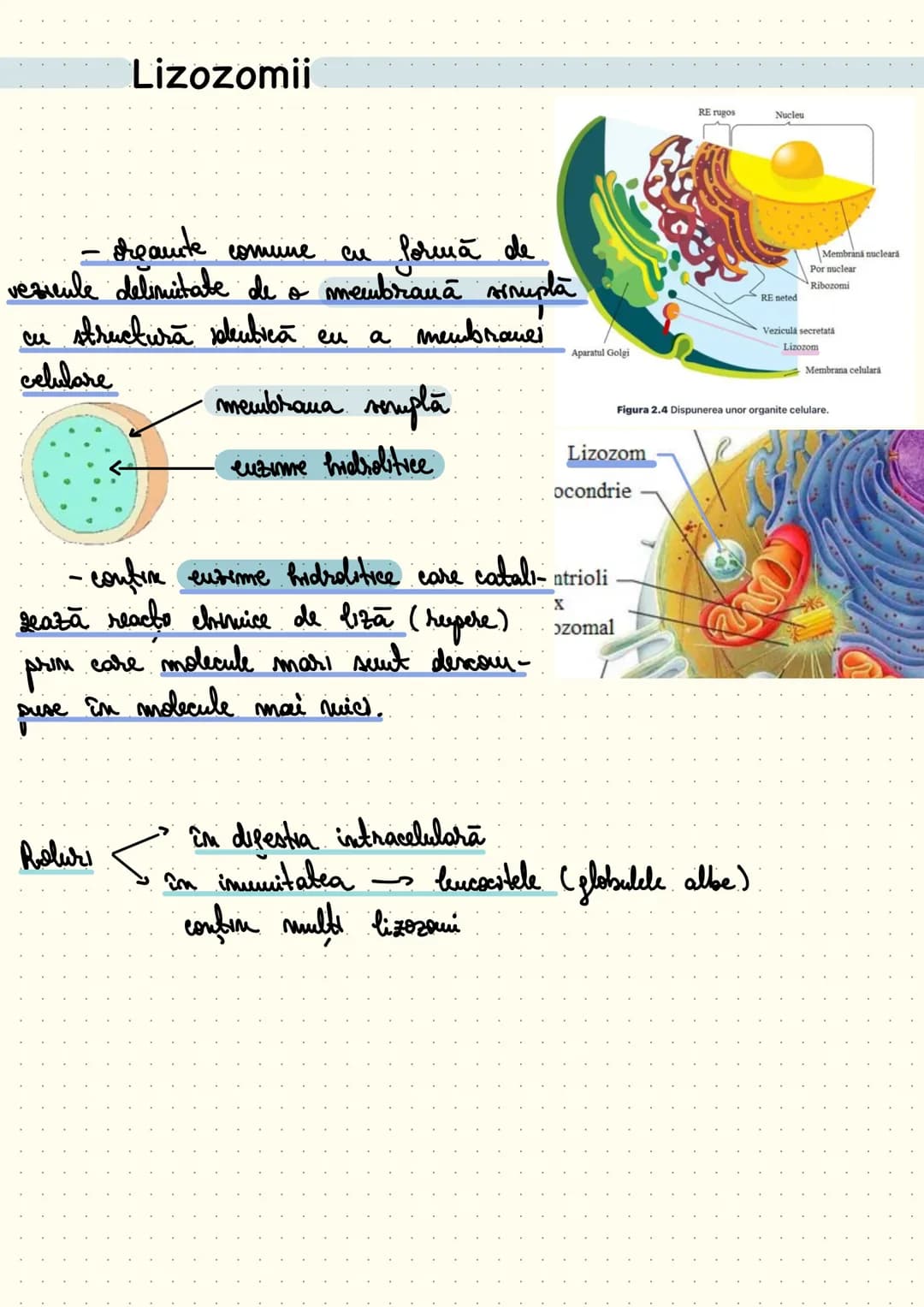 composition book
Notite Celula
Eucariota # Cap 1 - Celula - unitatea structurala si functionala a lumii vii
Def: Celula este unitatea struc