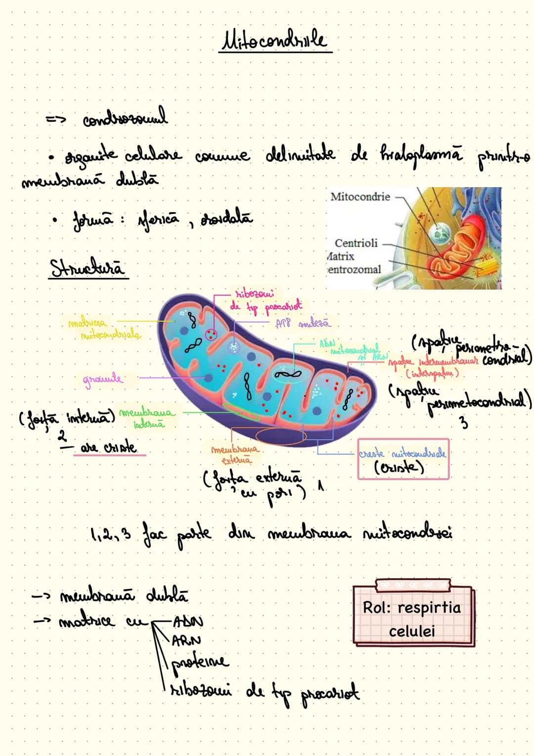 composition book
Notite Celula
Eucariota # Cap 1 - Celula - unitatea structurala si functionala a lumii vii
Def: Celula este unitatea struc