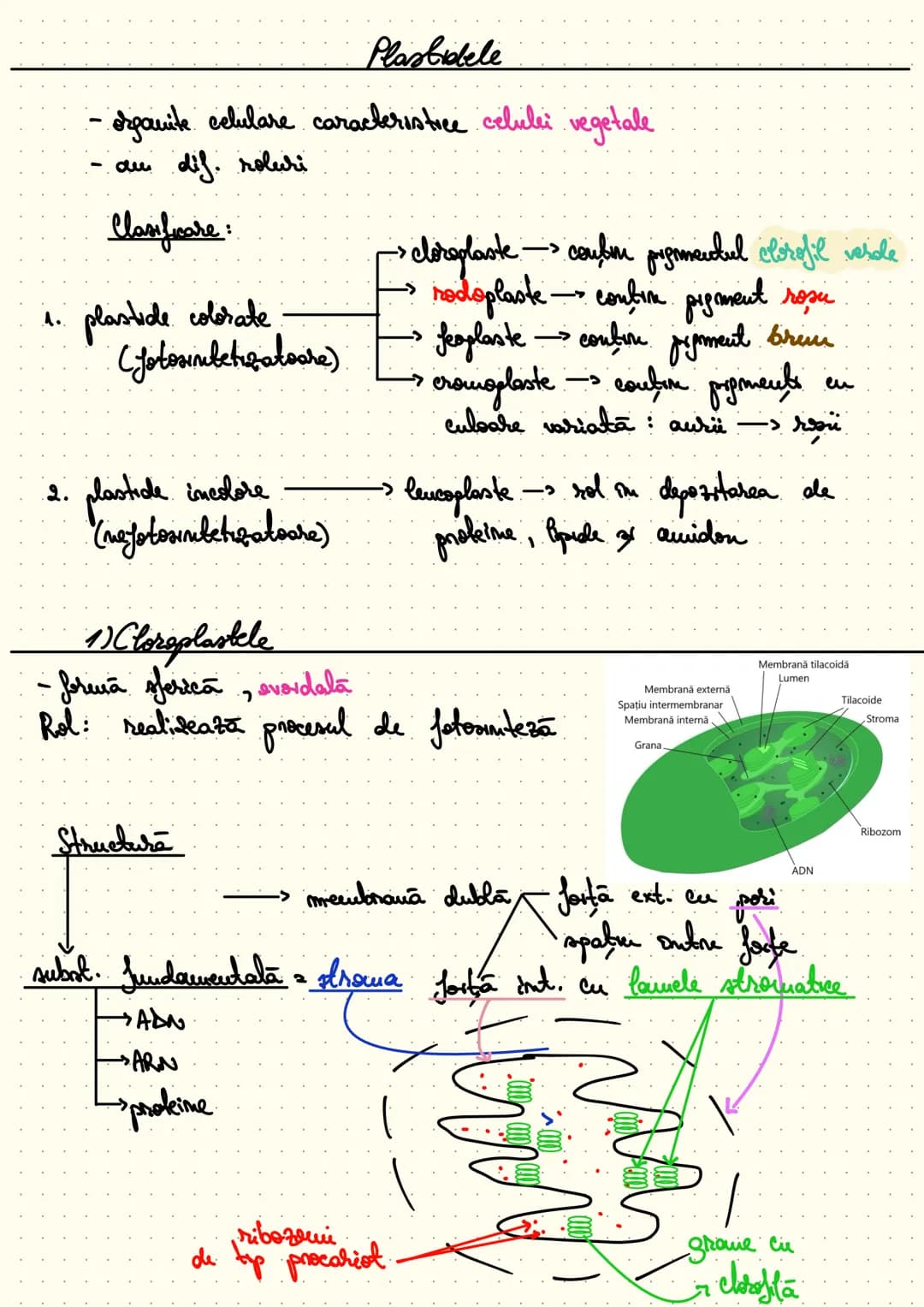 composition book
Notite Celula
Eucariota # Cap 1 - Celula - unitatea structurala si functionala a lumii vii
Def: Celula este unitatea struc
