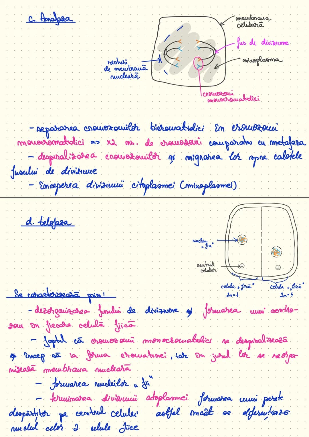 composition book
Notite Celula
Eucariota # Cap 1 - Celula - unitatea structurala si functionala a lumii vii
Def: Celula este unitatea struc