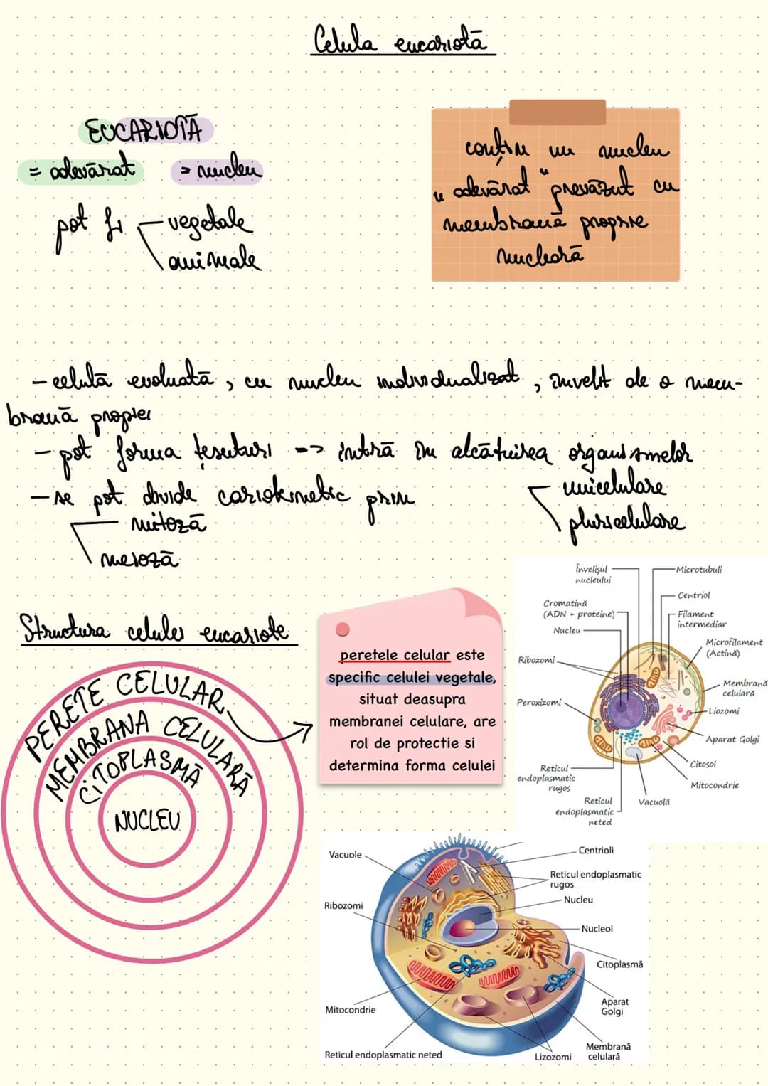 composition book
Notite Celula
Eucariota # Cap 1 - Celula - unitatea structurala si functionala a lumii vii
Def: Celula este unitatea struc