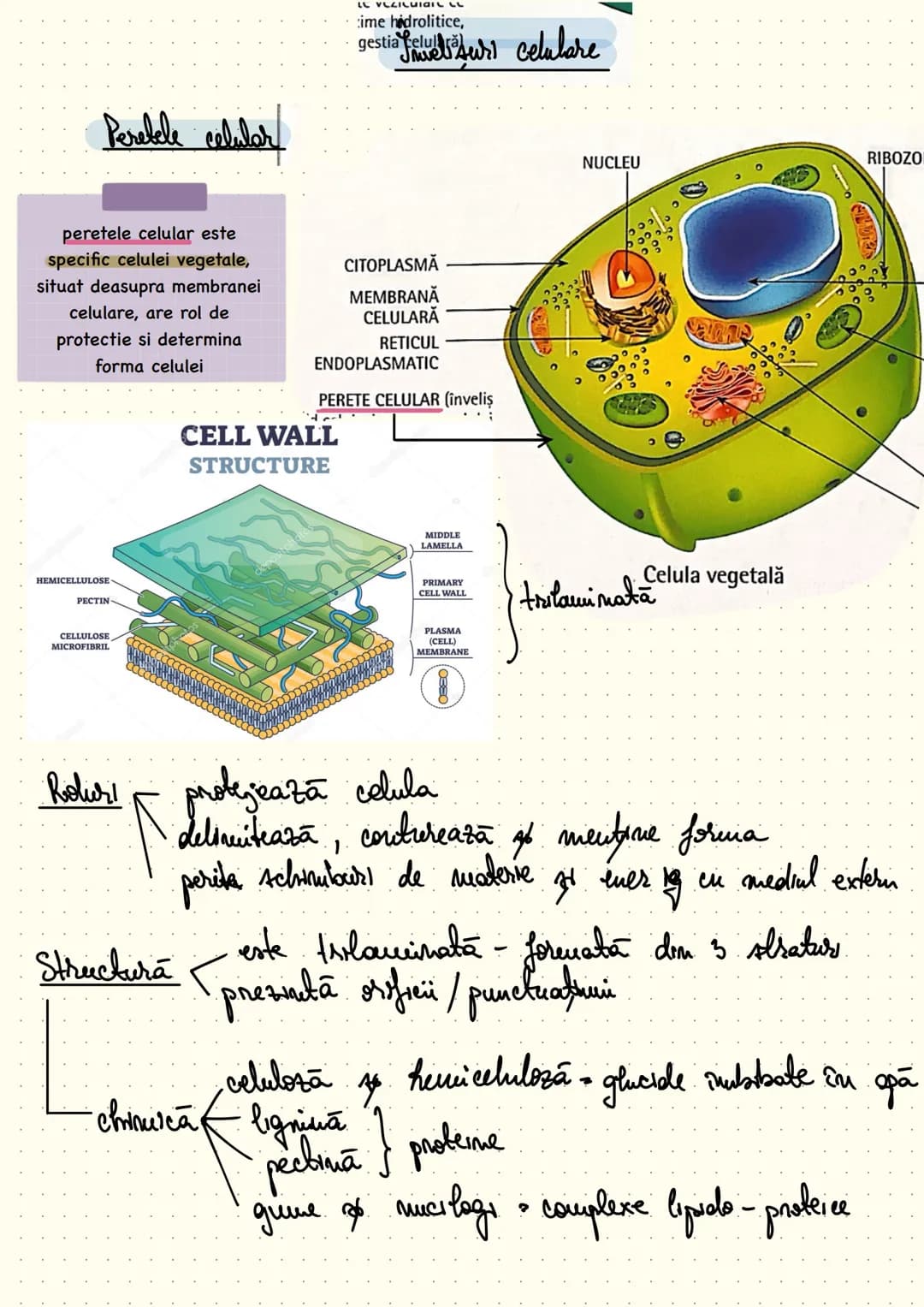 composition book
Notite Celula
Eucariota # Cap 1 - Celula - unitatea structurala si functionala a lumii vii
Def: Celula este unitatea struc