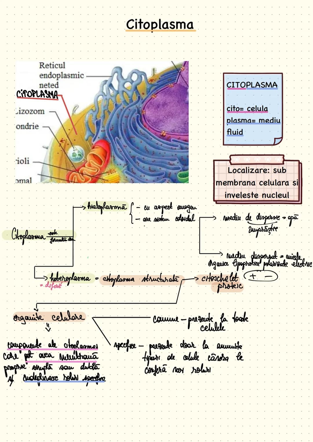 composition book
Notite Celula
Eucariota # Cap 1 - Celula - unitatea structurala si functionala a lumii vii
Def: Celula este unitatea struc