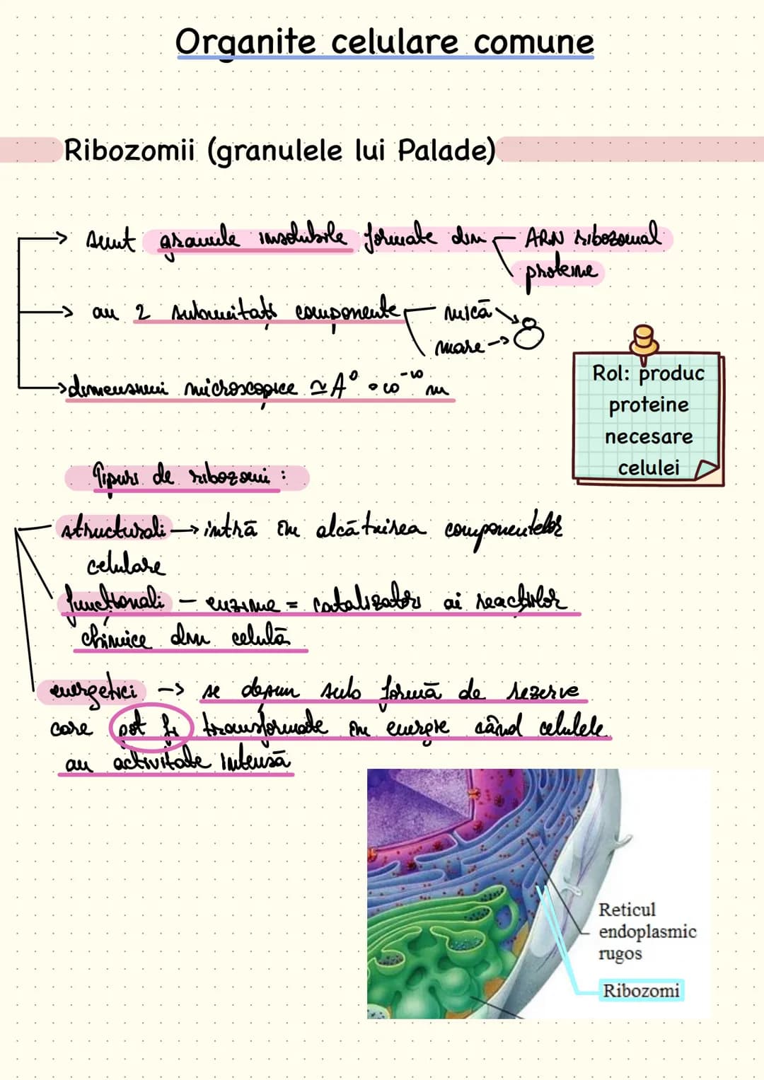 composition book
Notite Celula
Eucariota # Cap 1 - Celula - unitatea structurala si functionala a lumii vii
Def: Celula este unitatea struc