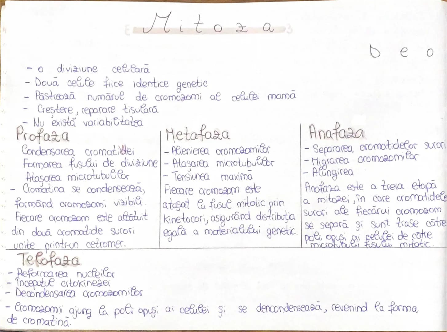 # Mitoza 3
- 0
- diviziune celulara
- Dova celule fiice identice genetic
- Păstrează numărul de cromozomi al celulei mamā
- Crestere, repara