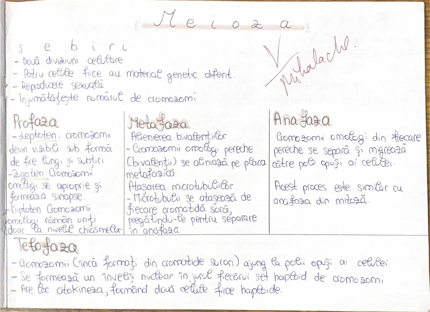# Mitoza 3
- 0
- diviziune celulara
- Dova celule fiice identice genetic
- Păstrează numărul de cromozomi al celulei mamā
- Crestere, repara