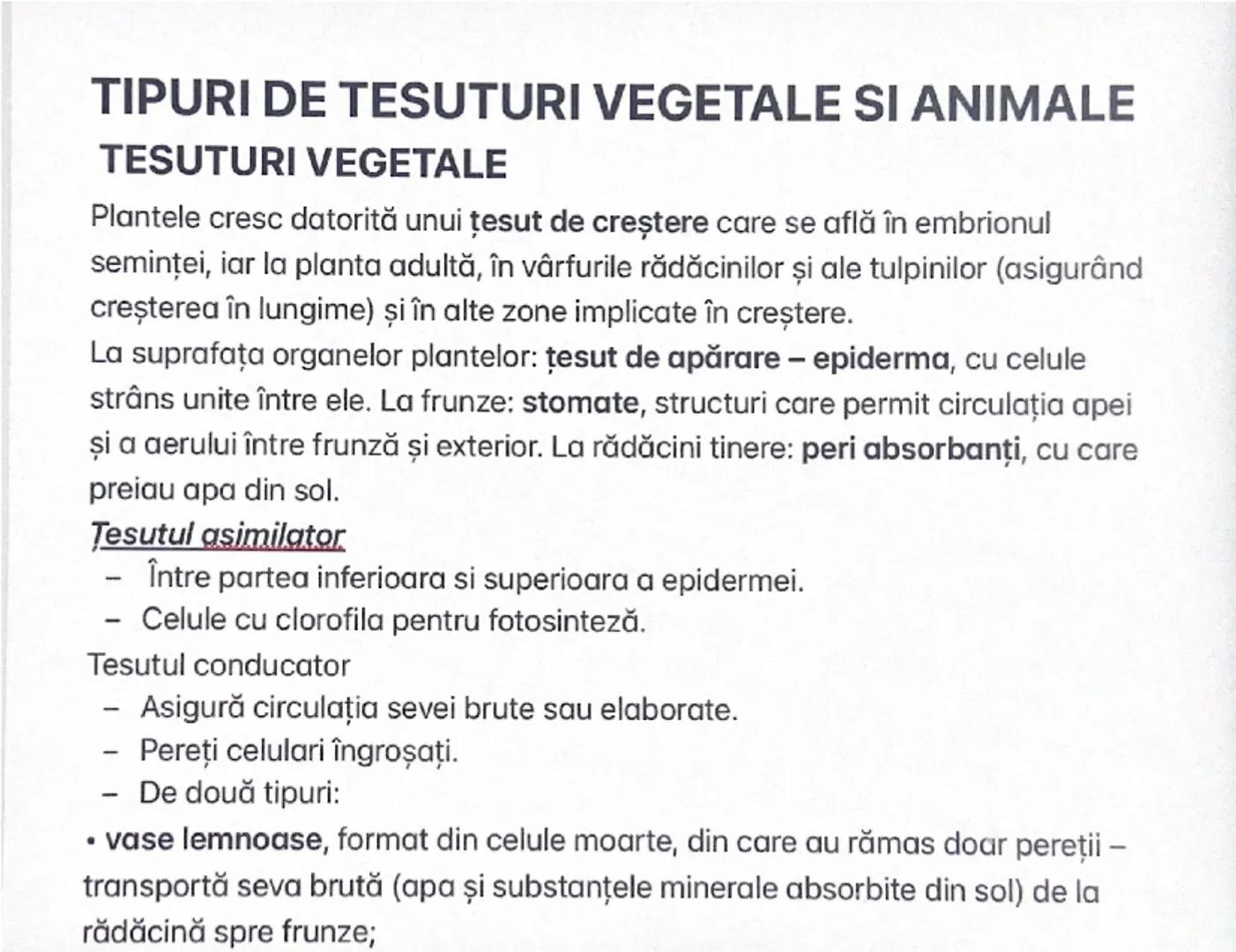 --- OCR Start ---
TIPURI DE TESUTURI VEGETALE SI ANIMALE
TESUTURI VEGETALE
Plantele cresc datorită unui țesut de creștere care se află în em