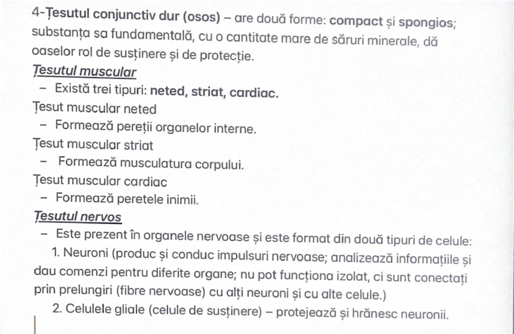 --- OCR Start ---
TIPURI DE TESUTURI VEGETALE SI ANIMALE
TESUTURI VEGETALE
Plantele cresc datorită unui țesut de creștere care se află în em