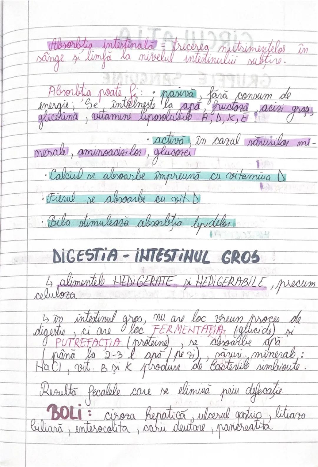 # GLANDELE ENDOCRINE
I Hipofiza
- este situata in craniu, sub HIPOTALAMUS
- alcatuita din lobul anterior → formeaza ADENOHIPOFIZA