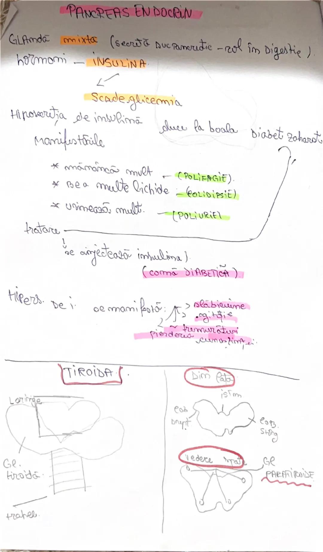 PARTic. ale sist. merve la vertebrate
argamele de simt ca om
Piele val mai mare ongan de simt
cătire suprafata de 138 cm.
m4/59
Repidermuel-