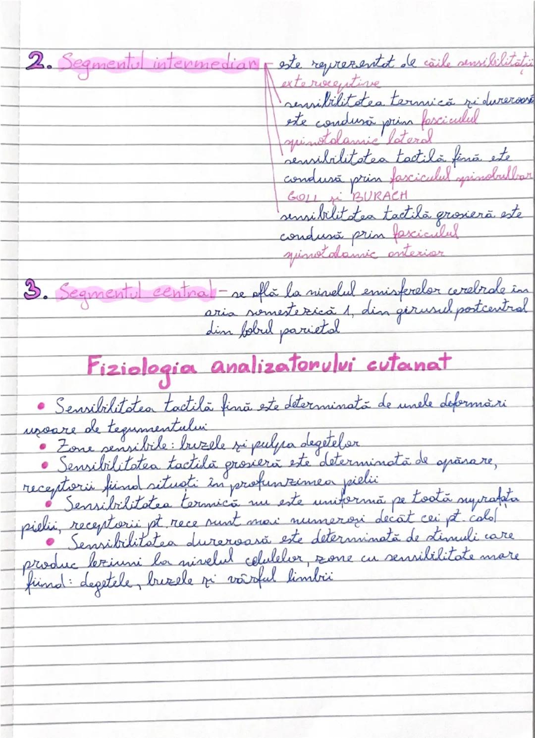 --- OCR Start ---
Analizatorul cutanat/pielea
este un inmens covor receptor,
datorită numeroaselor şi variatelor
terminaţii de analizatorulu
