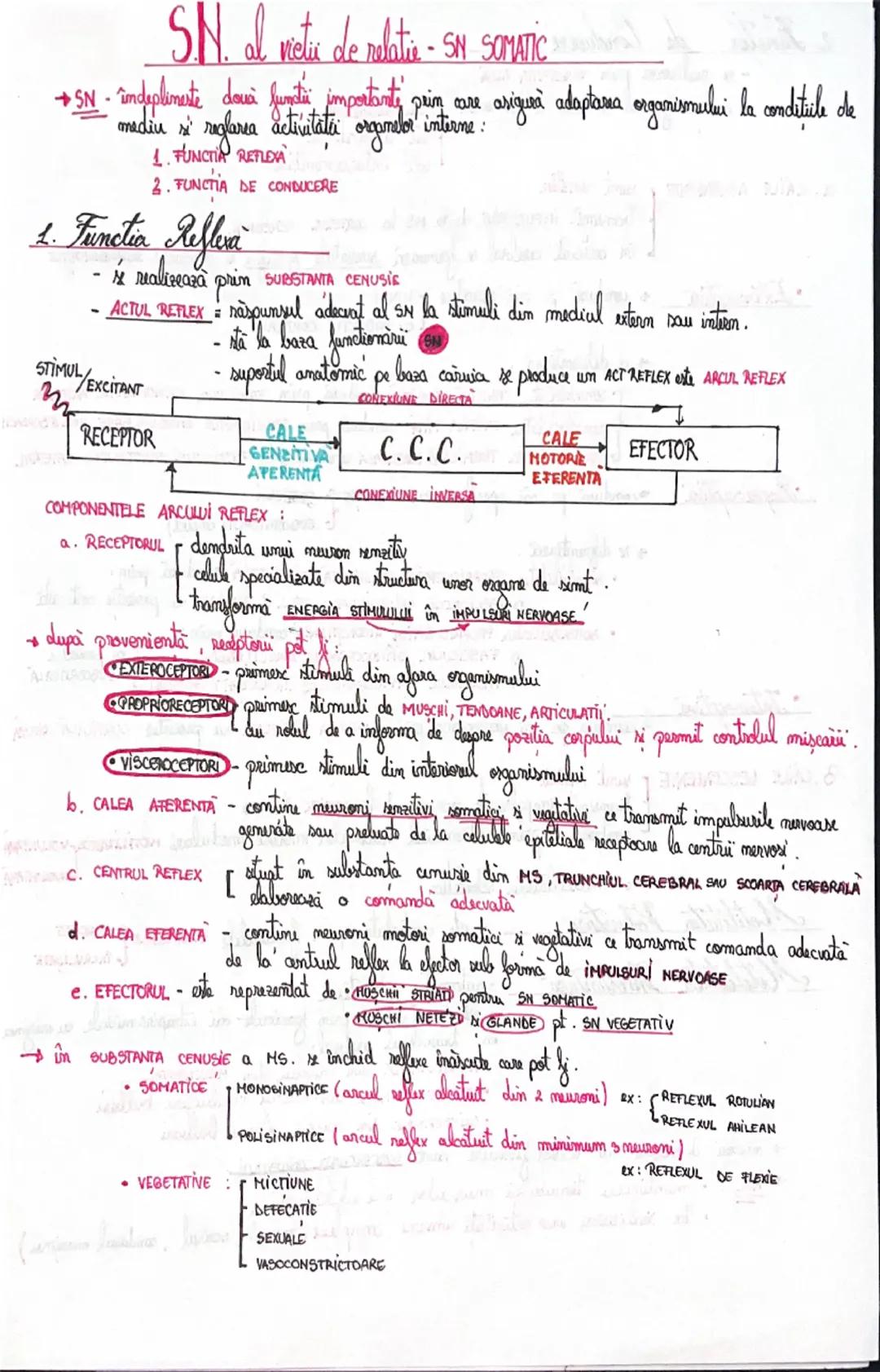 # Furetik Sumdamentale ak CREAMISMULUI
UMAN
* functile fundamentale ale organismului uman sunt:
* DE RELATIE
* DE NUTRITIE
* DE R