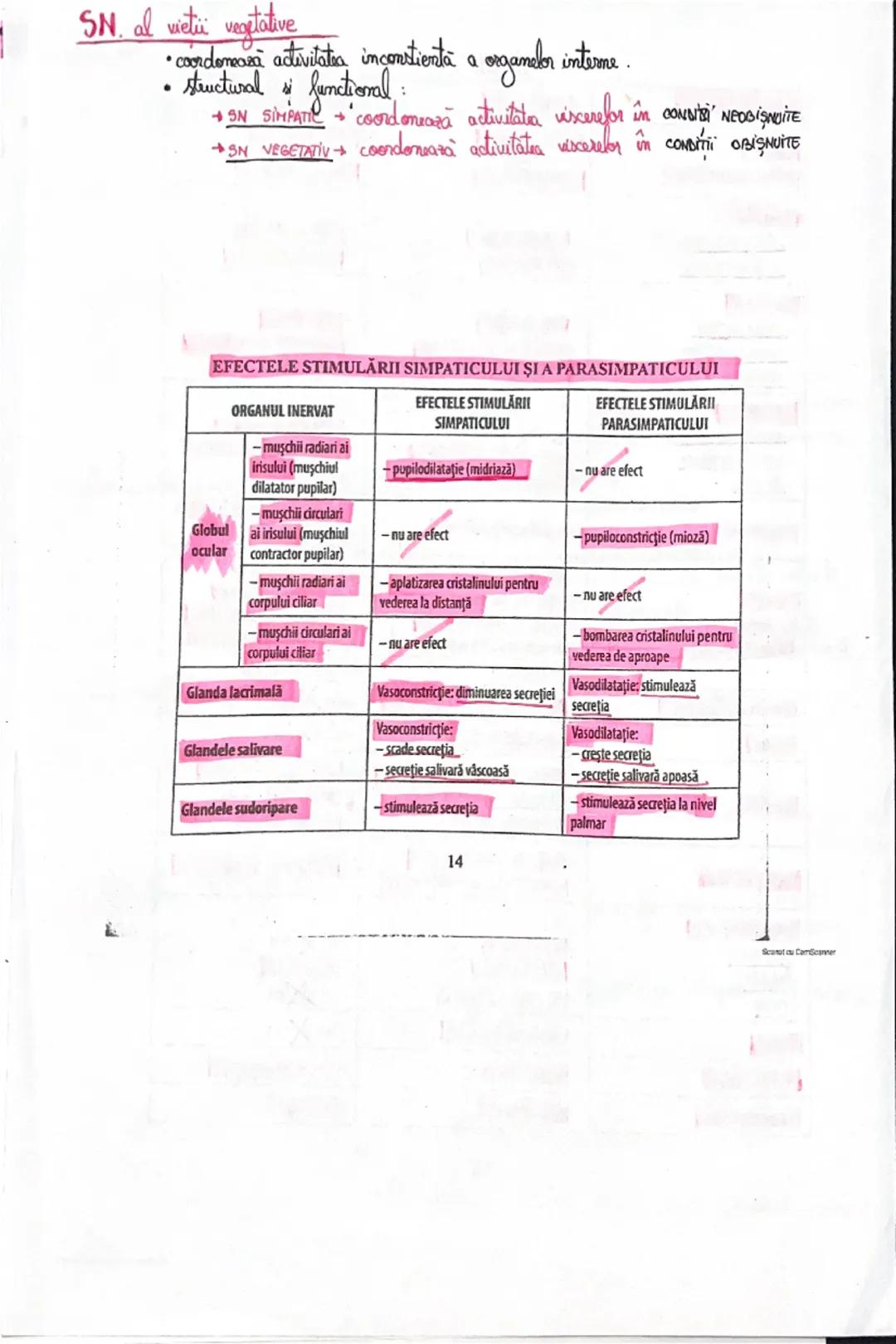 # Furetik Sumdamentale ak CREAMISMULUI
UMAN
* functile fundamentale ale organismului uman sunt:
* DE RELATIE
* DE NUTRITIE
* DE R