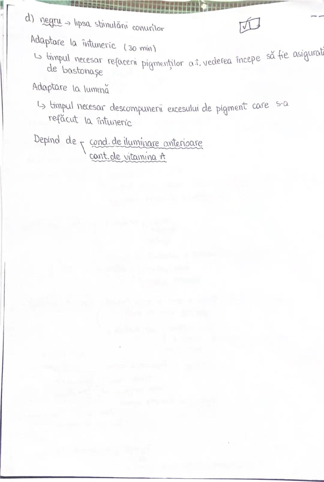 --- OCR Start ---
PLANURI SI RAPORTURI ANATOMICE
NTOPOGRAFIA ORGANELOR M
Axele corpului omenesc
superior (cranial)
posterior(dorsal)
ax long