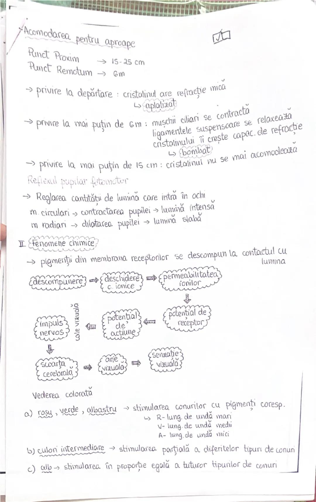 --- OCR Start ---
PLANURI SI RAPORTURI ANATOMICE
NTOPOGRAFIA ORGANELOR M
Axele corpului omenesc
superior (cranial)
posterior(dorsal)
ax long