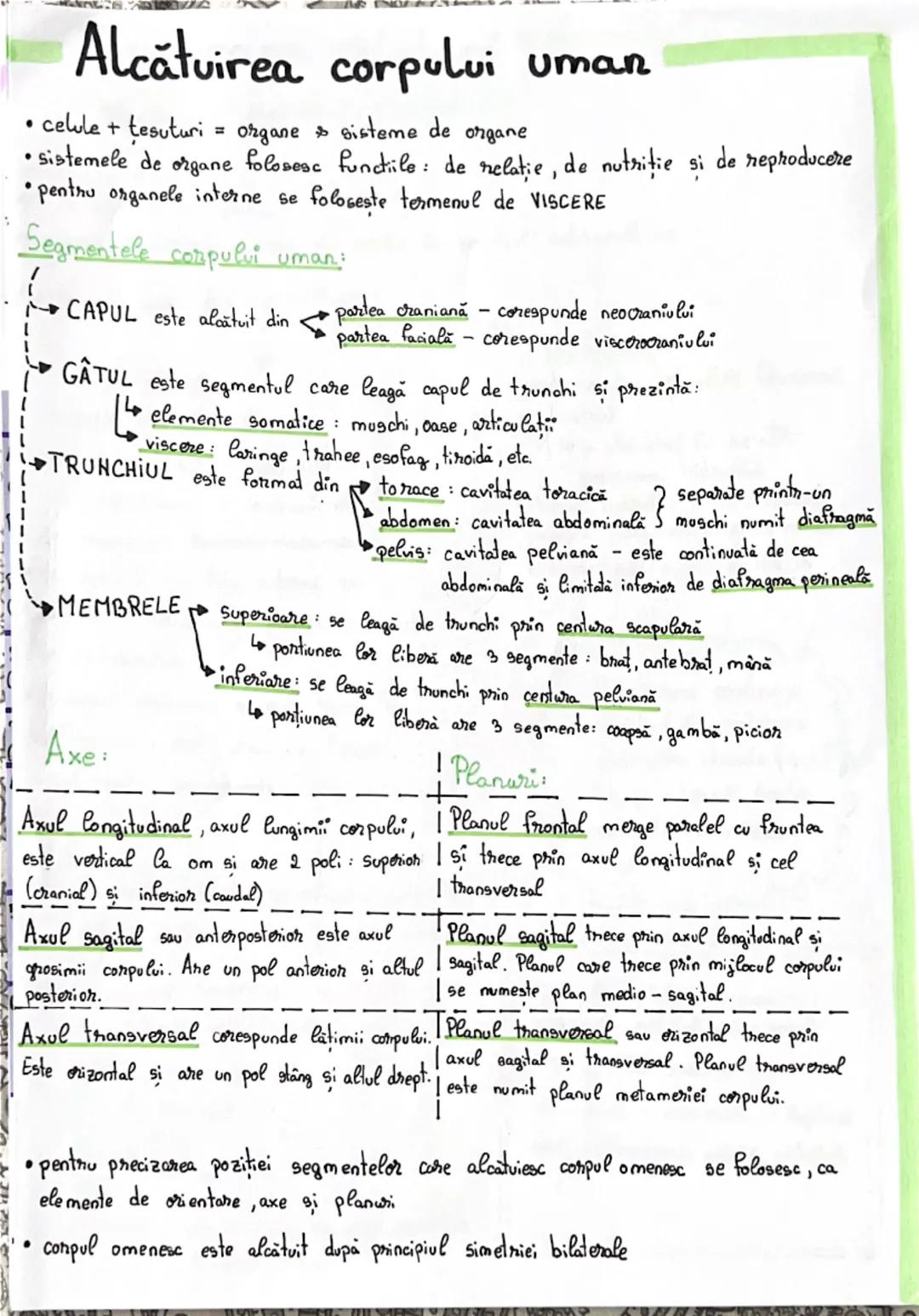 # Alcătuirea corpului uman
• celule + tesuturi = organe & sisteme de organe
• sistemele de organe folosesc functiile: de relatie, de nutri