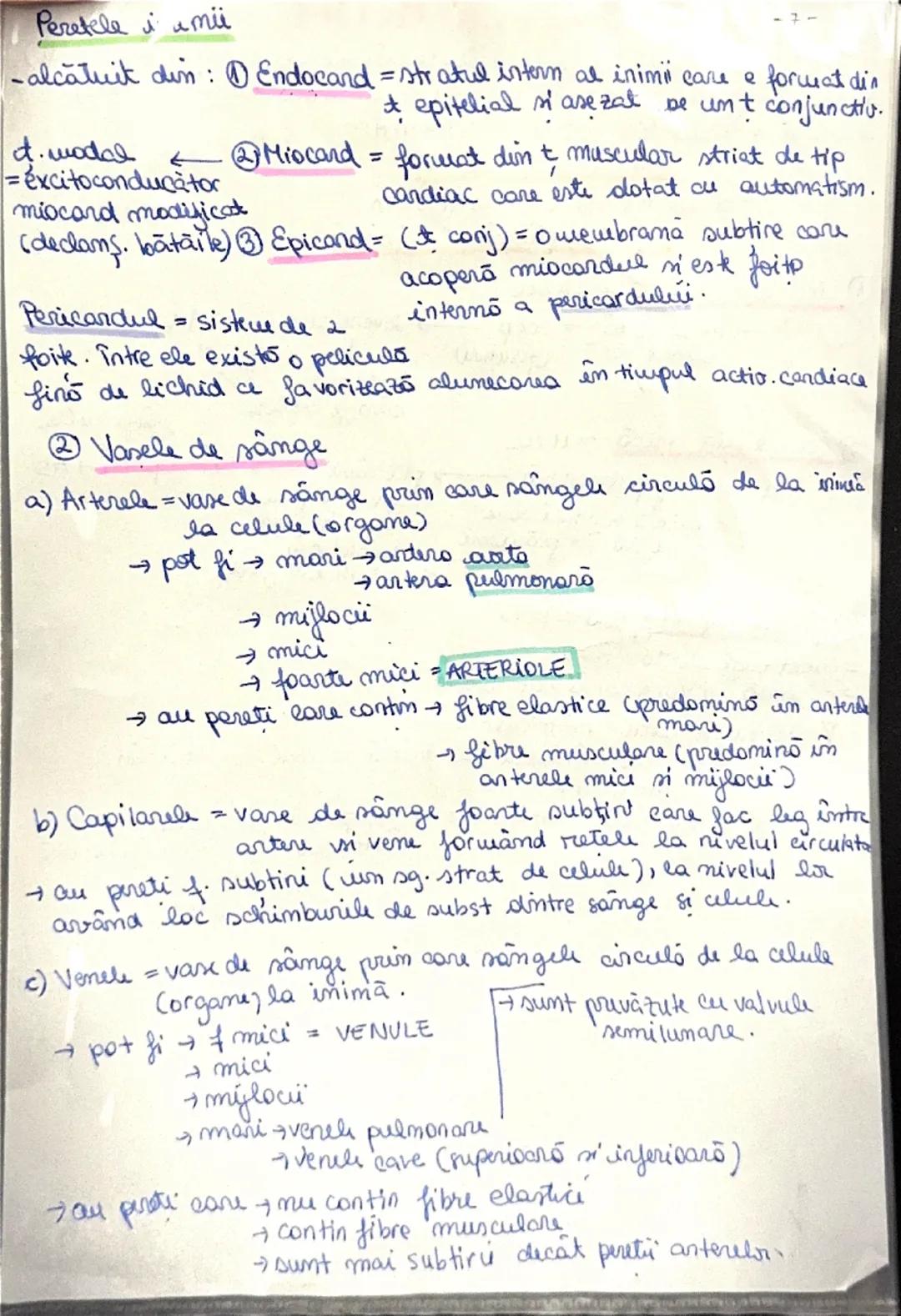 Sistemul Circulator la om
→ alcătuit din → inimă
→ vase de sânge → artere
→capilare
→vene
①Inima → situată în cavitatea toracică între cei 2
