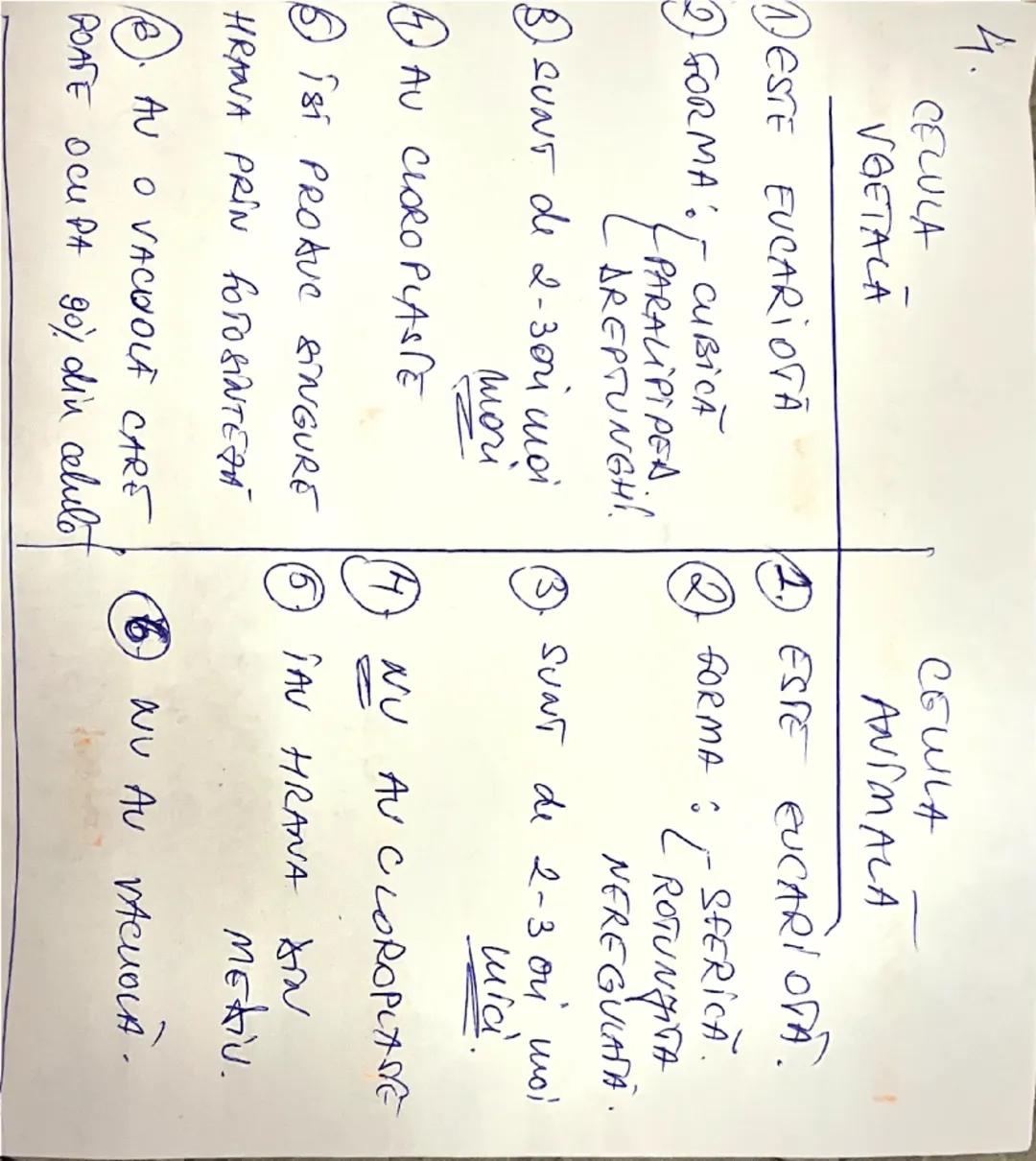 --- OCR Start ---
Maduva spinării
-Face parte din sistimul nervos central
-Este situato în camalul coloanei vertebrale (rezultat
srin suprap