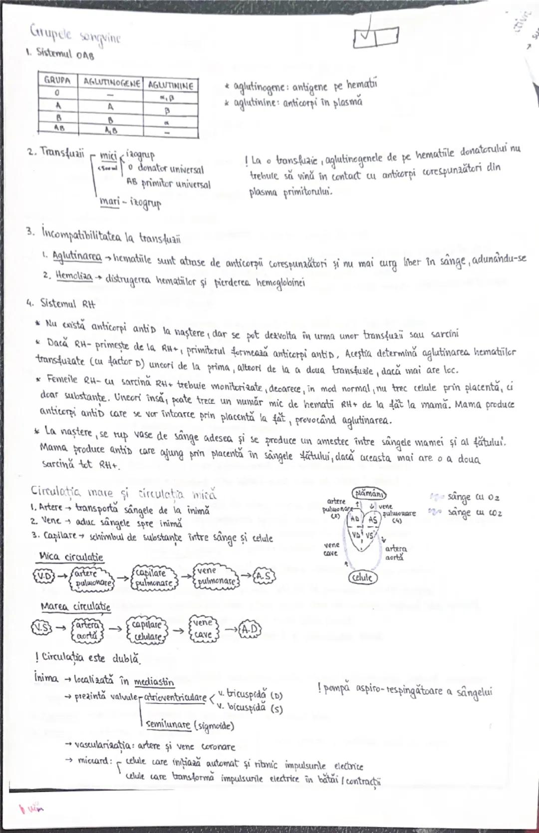 --- OCR Start ---
Grupe sanguine și imunitatea
apă (90%)
*SANGE-plasma (ss%) organic (9%)
anorganic (1%)
globule reşu (eritrocite/hemati)
ne