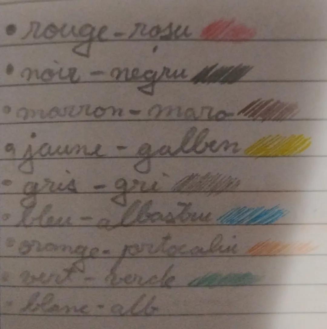 • rouge-rosu
• noir - negru
• marron-maro
• jaune-galben
• gris - gri
• bleu-albastru
• orange-portocaliu
• vert-verde
• blanc-alb