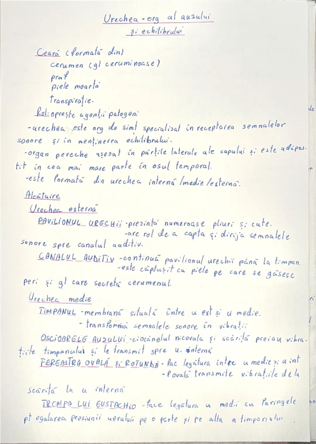 Urechea anatomie biologie clasa a 7-a