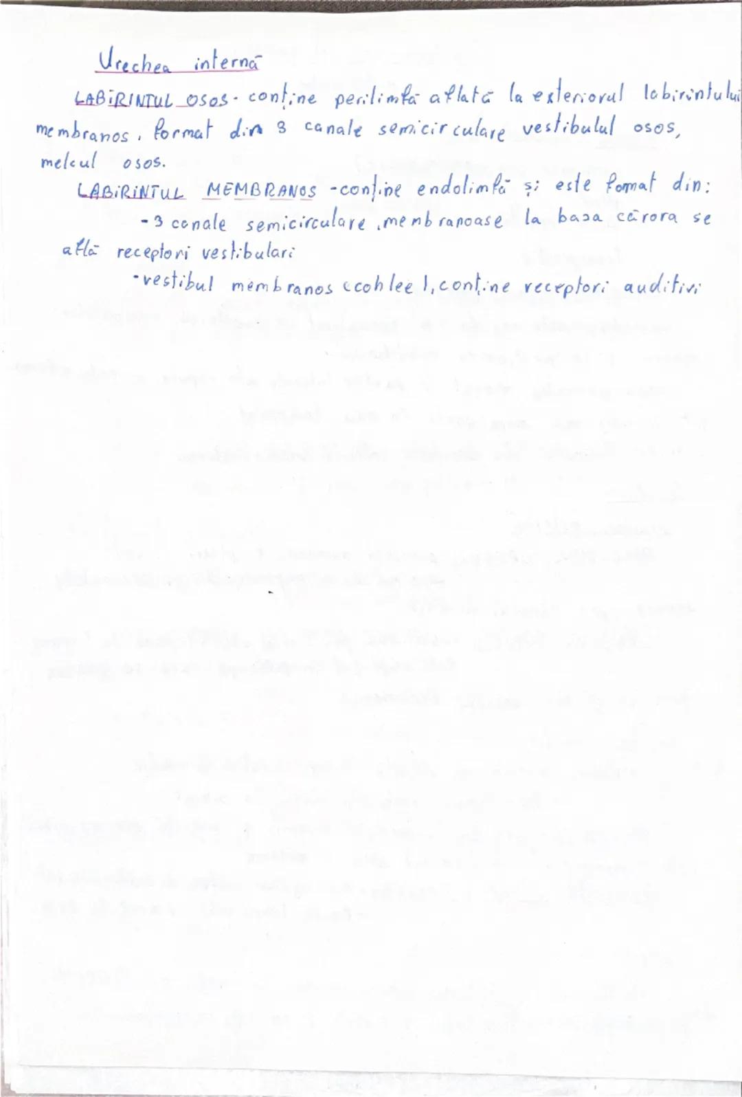 --- OCR Start ---
Urechea-org al auzului
şi echilibrului
Ceará (formată din)
cerumen (gl ceruminoase)
praf
piele moarta
Transpirație.
Rol: o