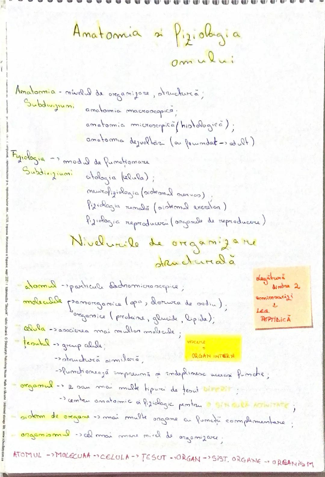 Introducere în anatomie