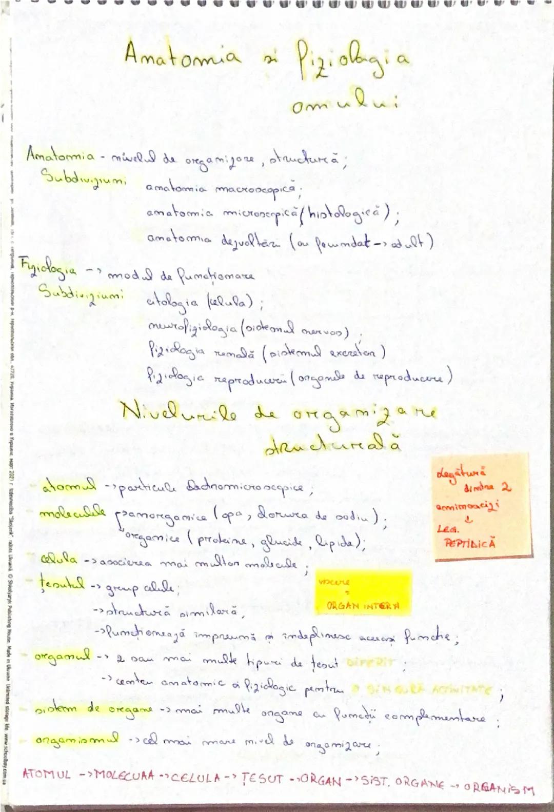 --- OCR Start ---
Amatomia si Piziolbagia
omului
Amatarmia - mivelul de oregamizare, structurcă;
Subdiviziumi amatamia macroscopică;
anatomi