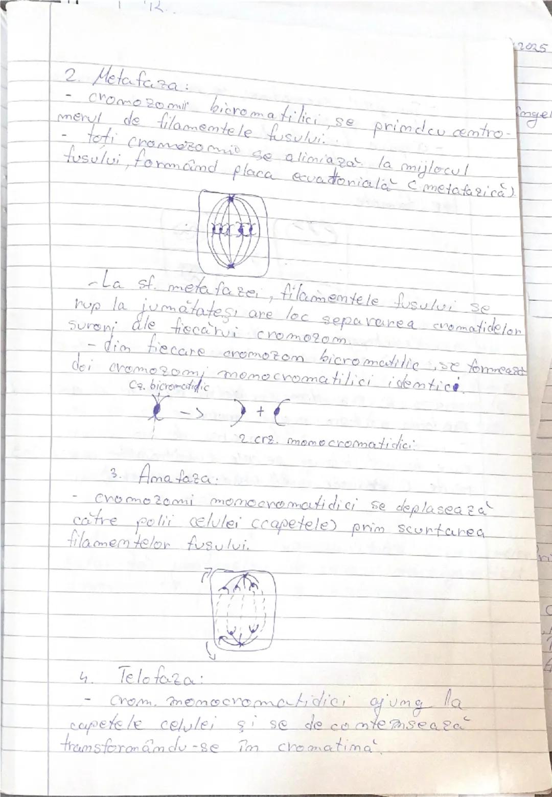 --- OCR Start ---
2025
Biologie cls. \underline{1x}-a- Biologie vegetală.
aniomala
engel
Cap I: - Celula
- Structura si ultrastructura
- div