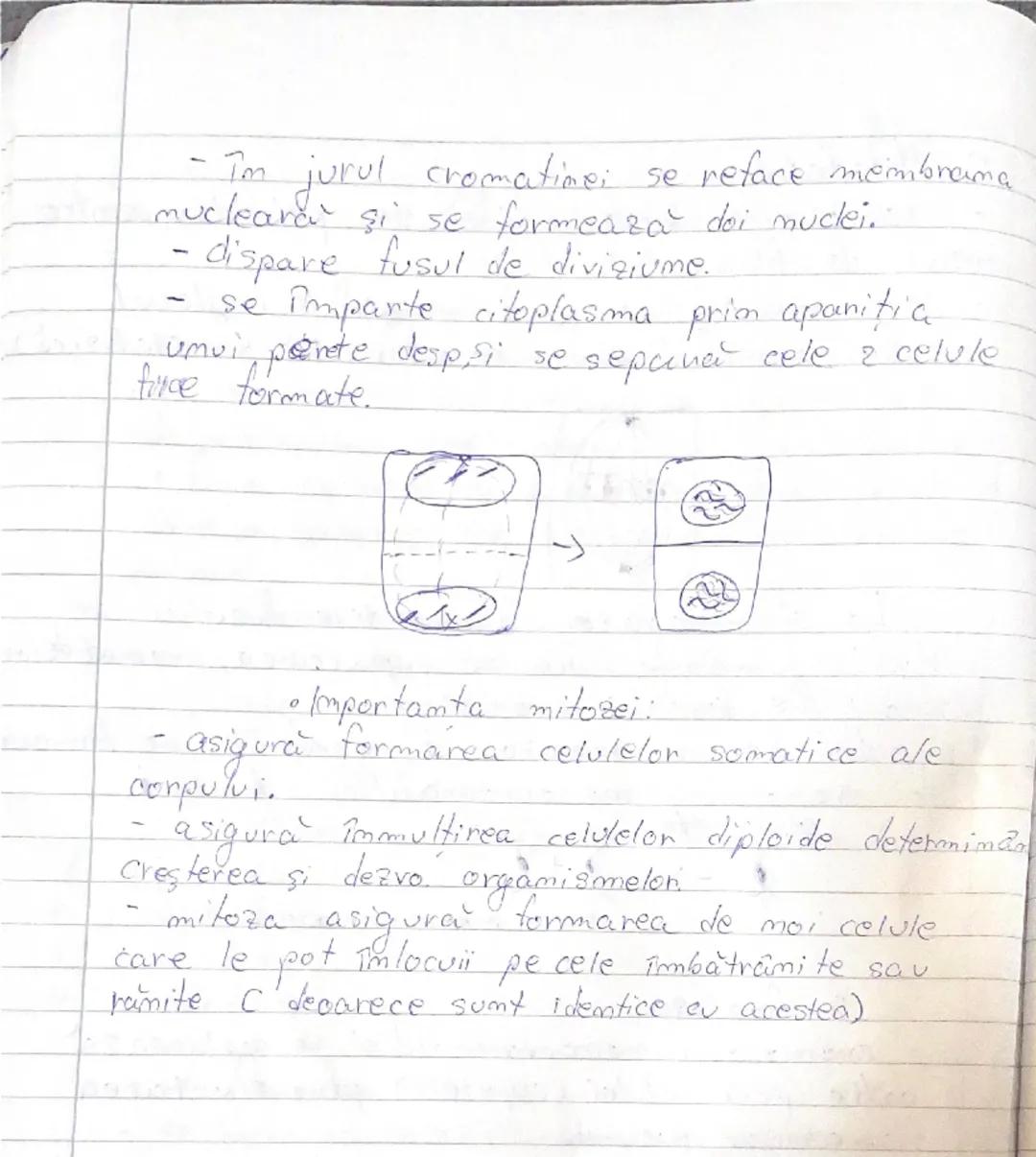 --- OCR Start ---
2025
Biologie cls. \underline{1x}-a- Biologie vegetală.
aniomala
engel
Cap I: - Celula
- Structura si ultrastructura
- div