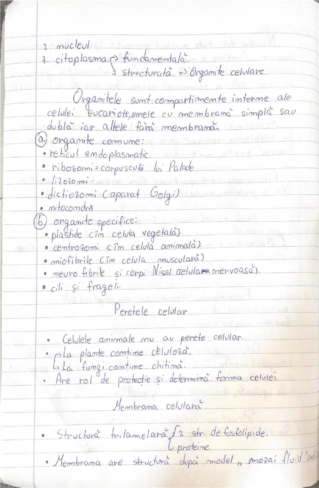 --- OCR Start ---
2025
Biologie cls. \underline{1x}-a- Biologie vegetală.
aniomala
engel
Cap I: - Celula
- Structura si ultrastructura
- div