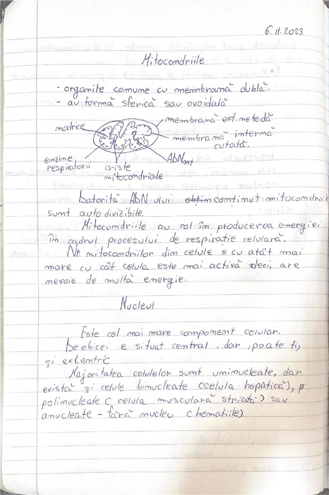 --- OCR Start ---
2025
Biologie cls. \underline{1x}-a- Biologie vegetală.
aniomala
engel
Cap I: - Celula
- Structura si ultrastructura
- div
