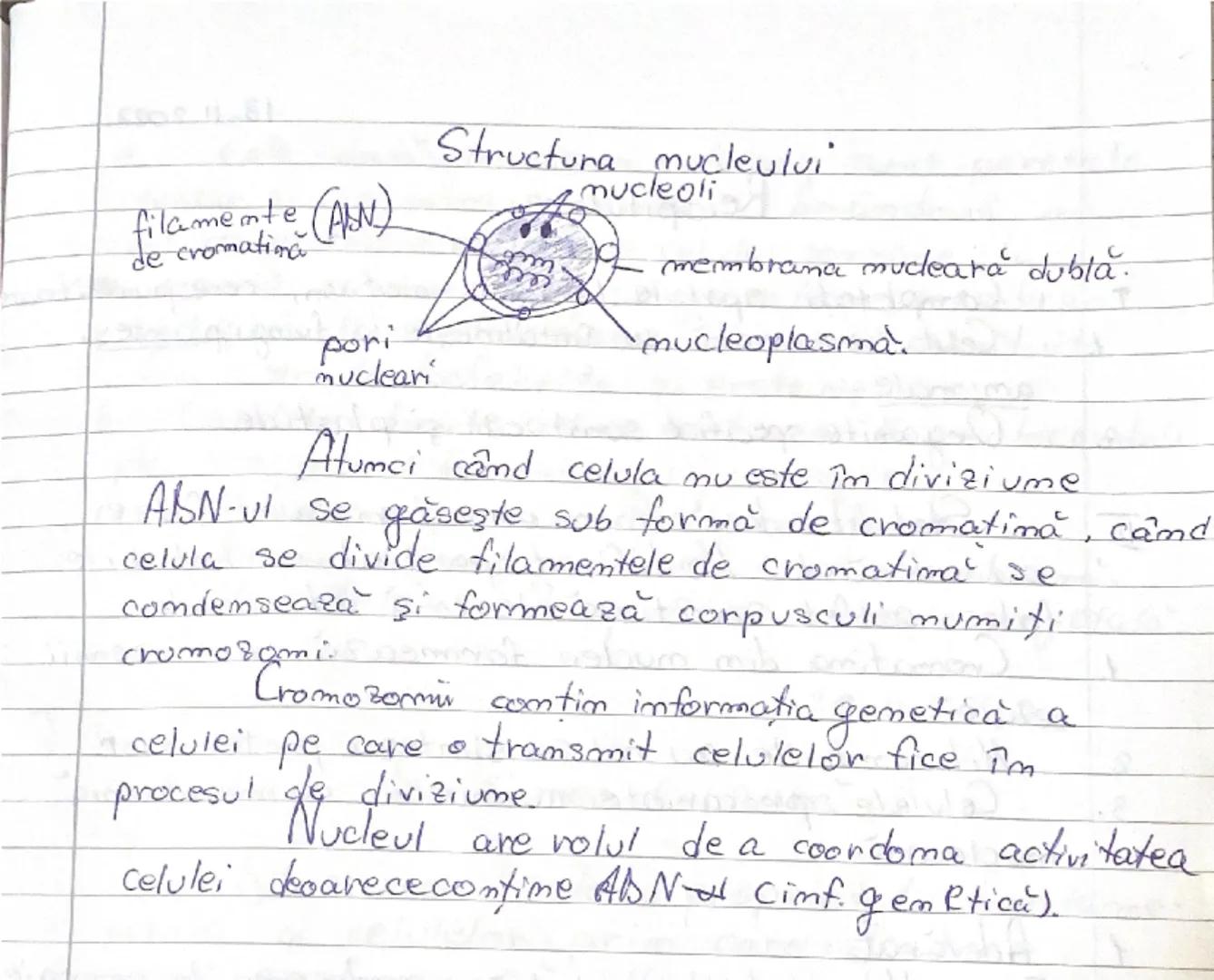 --- OCR Start ---
2025
Biologie cls. \underline{1x}-a- Biologie vegetală.
aniomala
engel
Cap I: - Celula
- Structura si ultrastructura
- div