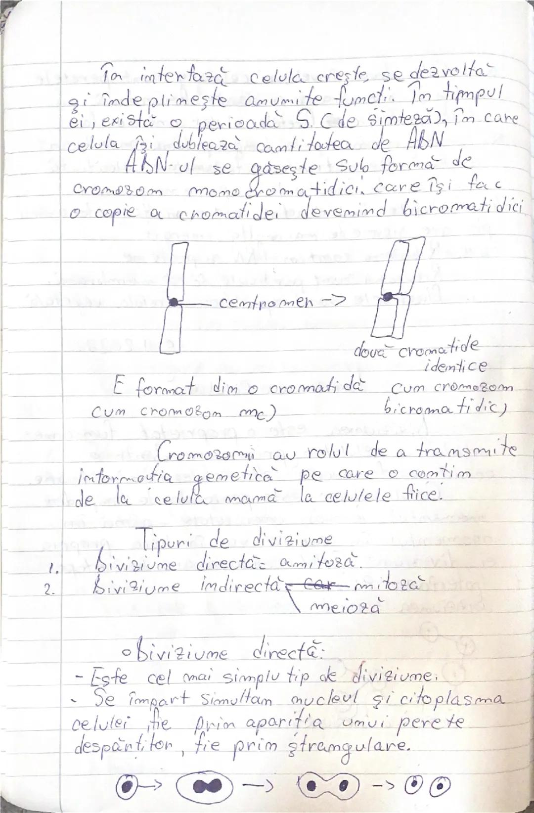 --- OCR Start ---
2025
Biologie cls. \underline{1x}-a- Biologie vegetală.
aniomala
engel
Cap I: - Celula
- Structura si ultrastructura
- div