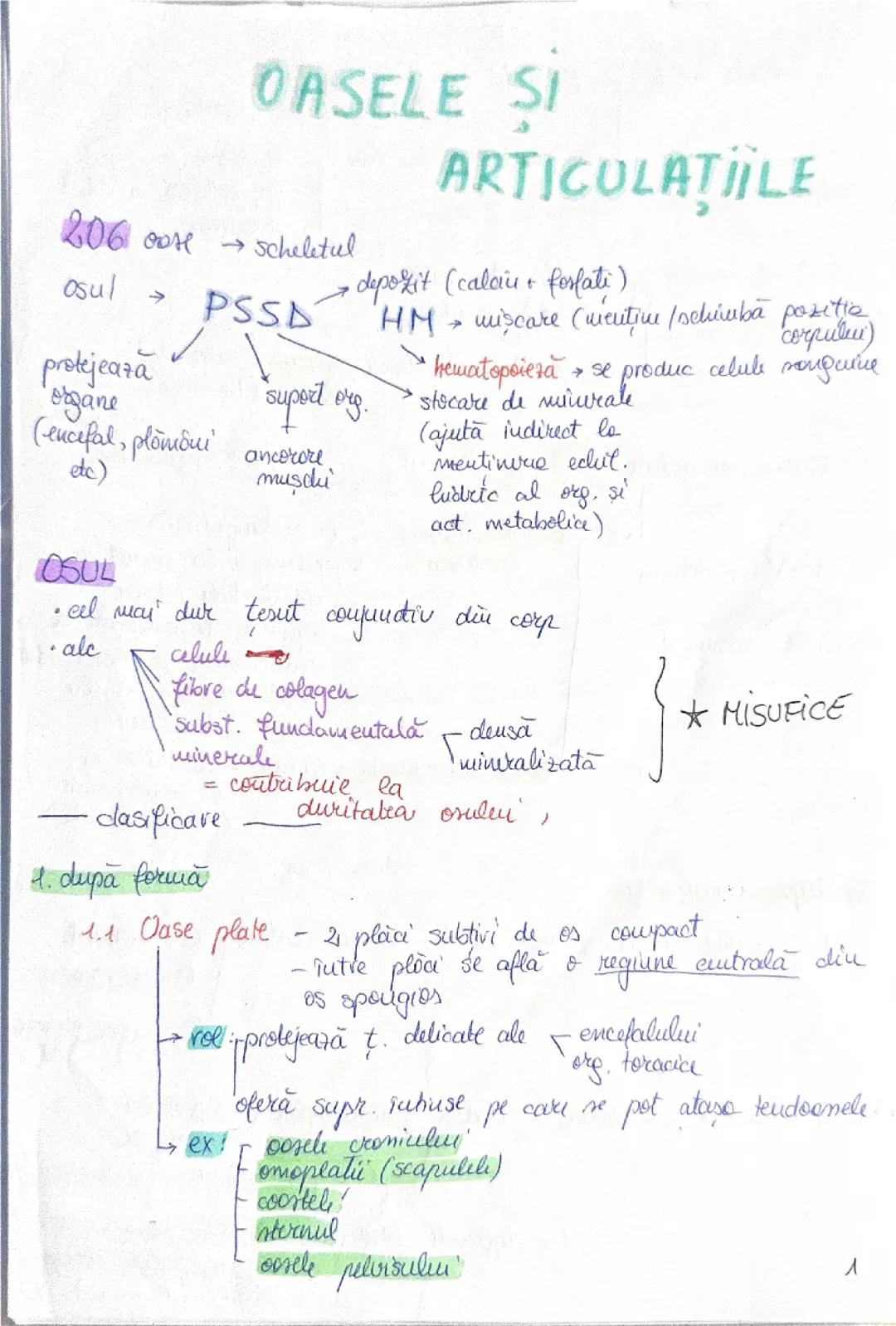 Oasele si articulațiile-admitere medicina 2025