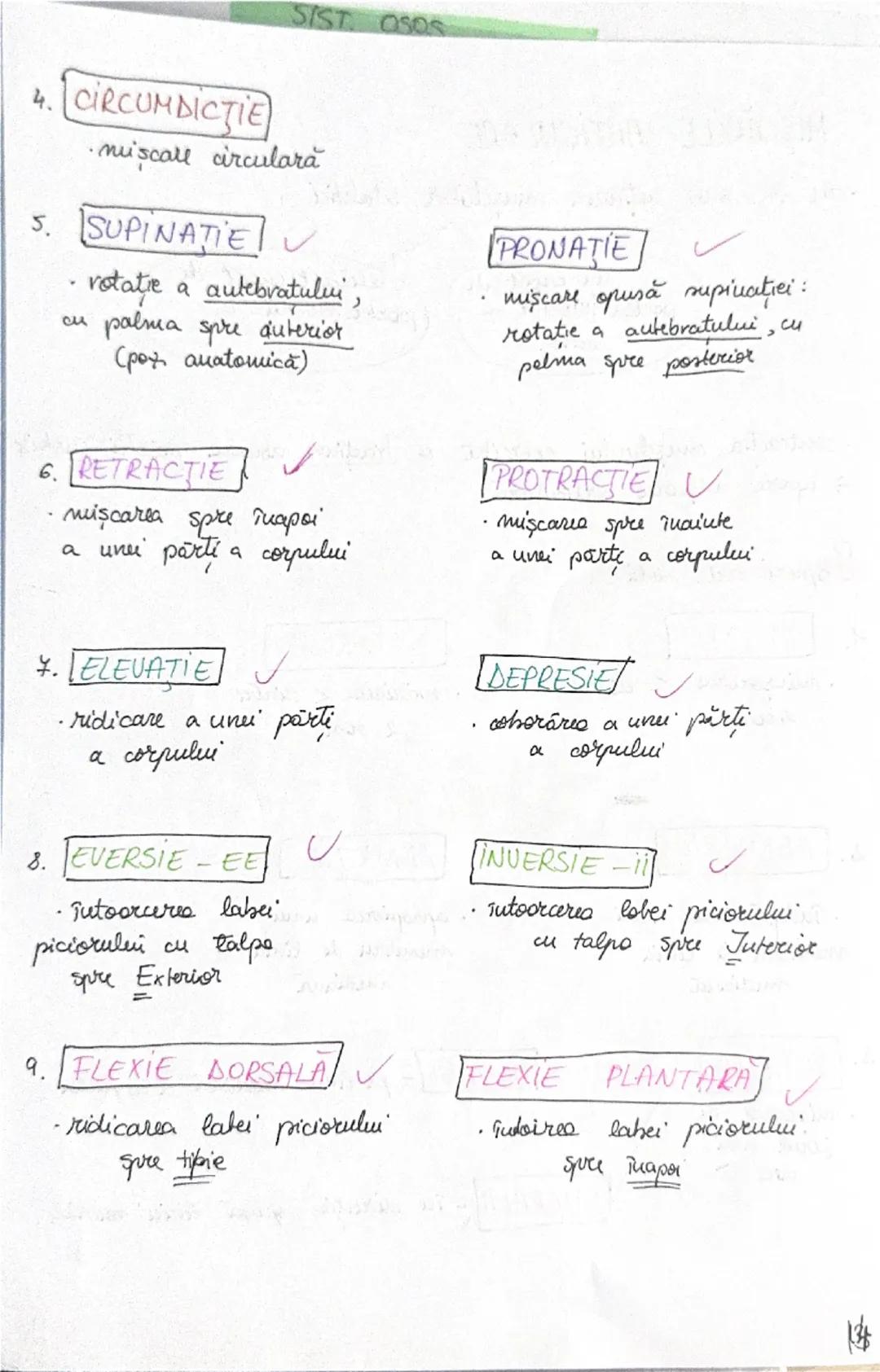 --- OCR Start ---
OASELE Sİ
206 one → scheletul
osul → PSS → depozit (calciu + fosfat)
protejează
organe
(encefal, plămâni
etc)
ARTICULAŢIIL