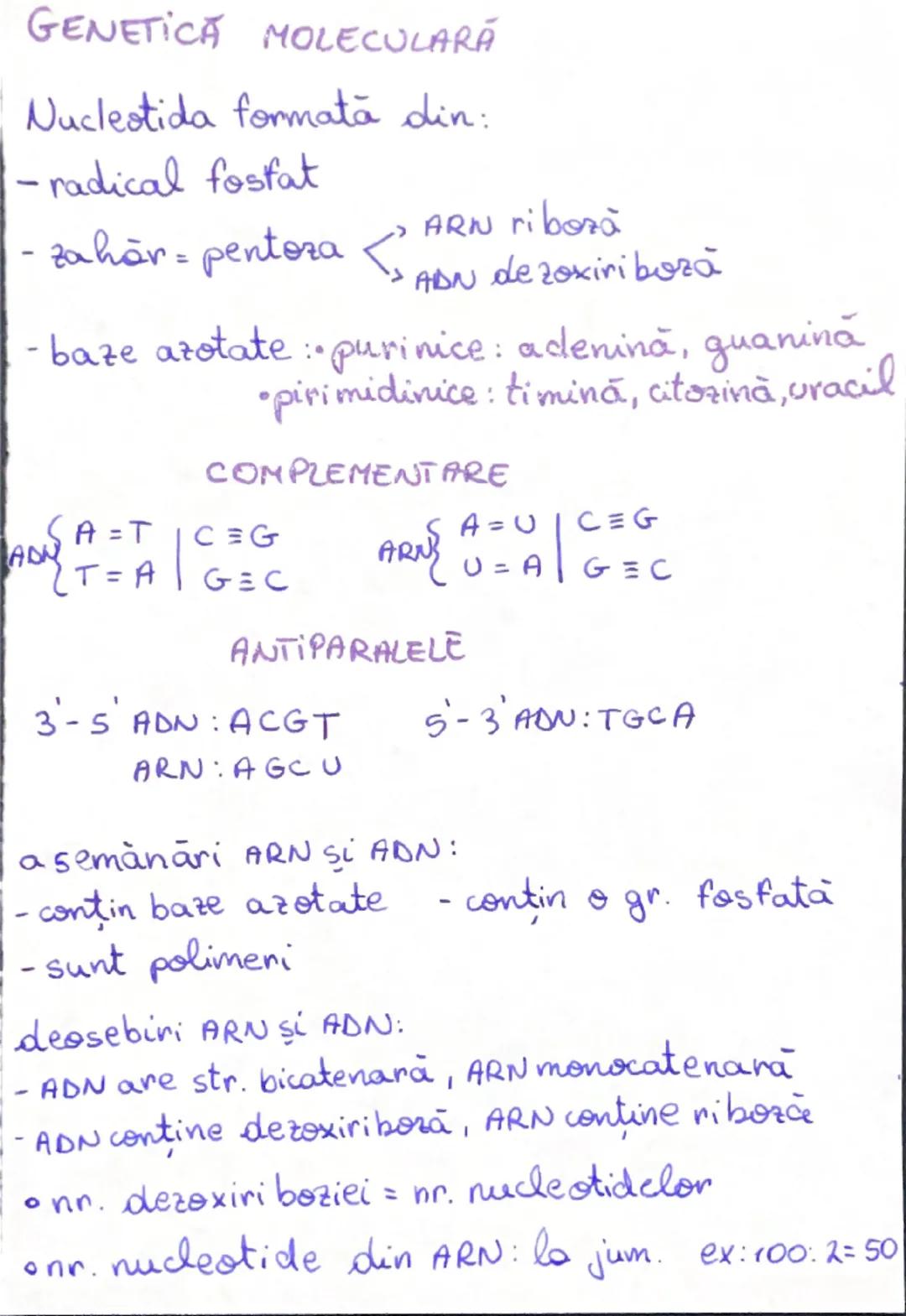 GENETICA MOLECULARĂ
Nucleotida formată din:
-radical fosfat
- zahăr = pentora < ARN riboză
> ADN de zoxiriboză
- baze azotate: •purinice: ad